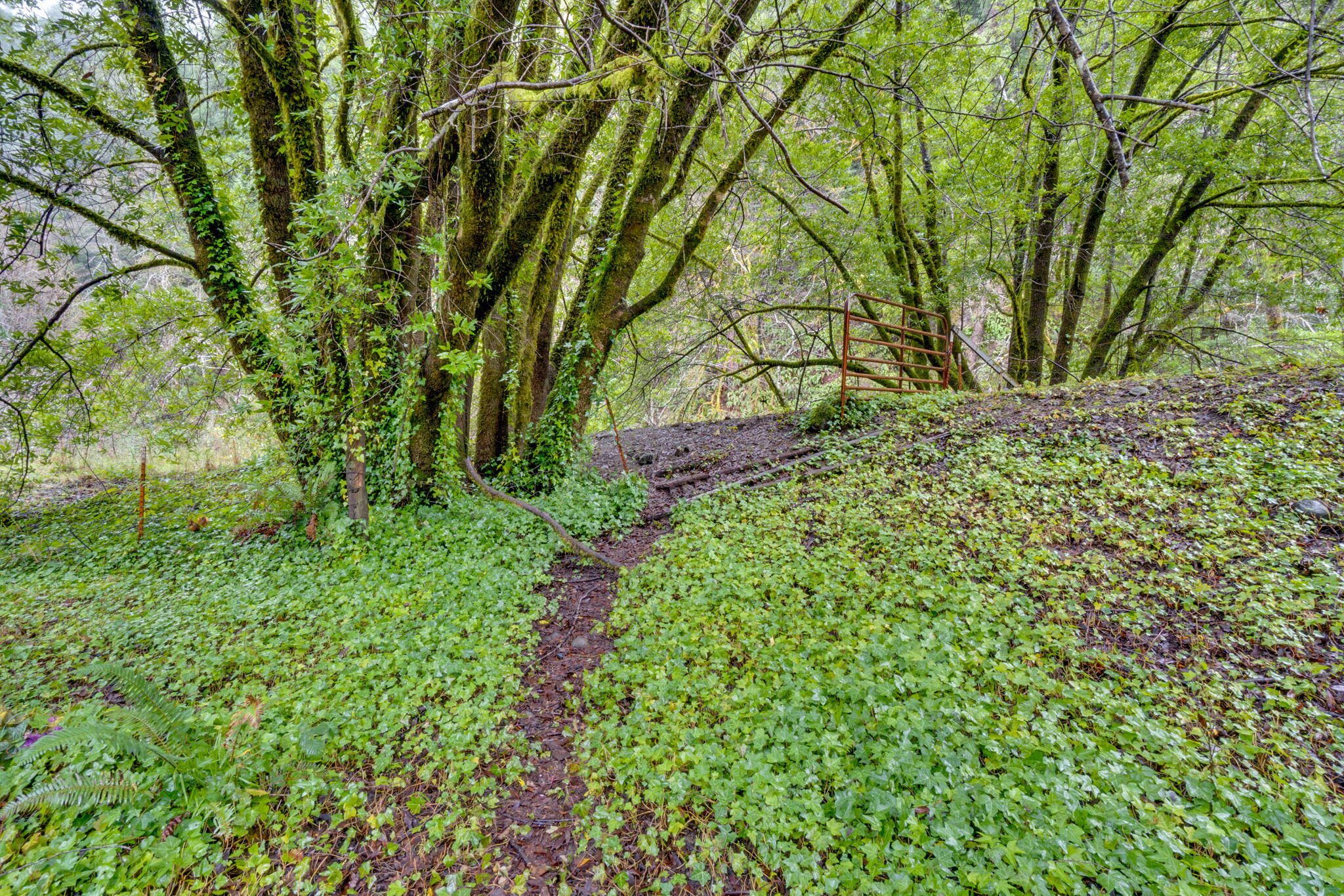 4552 Salmon Creek Road