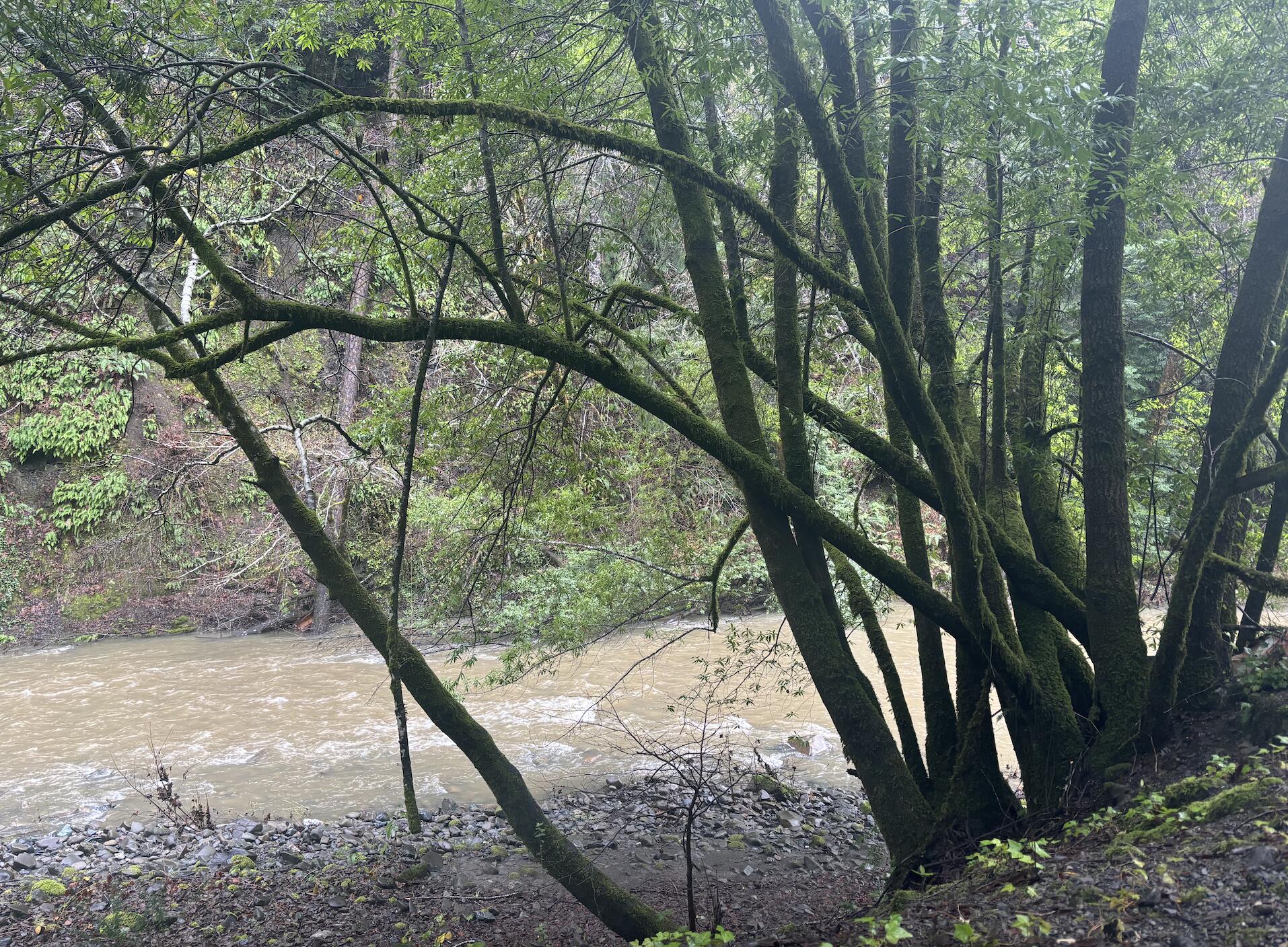 4552 Salmon Creek Road