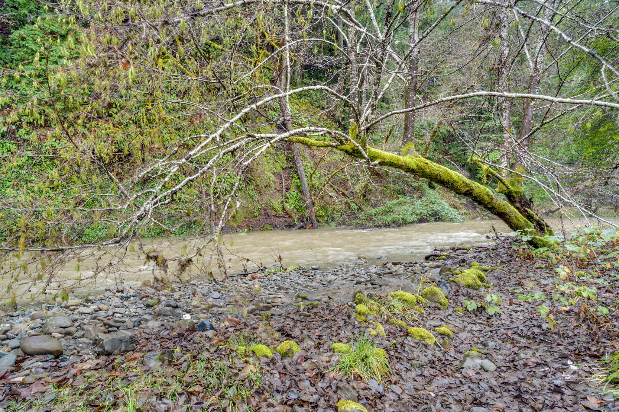 4552 Salmon Creek Road