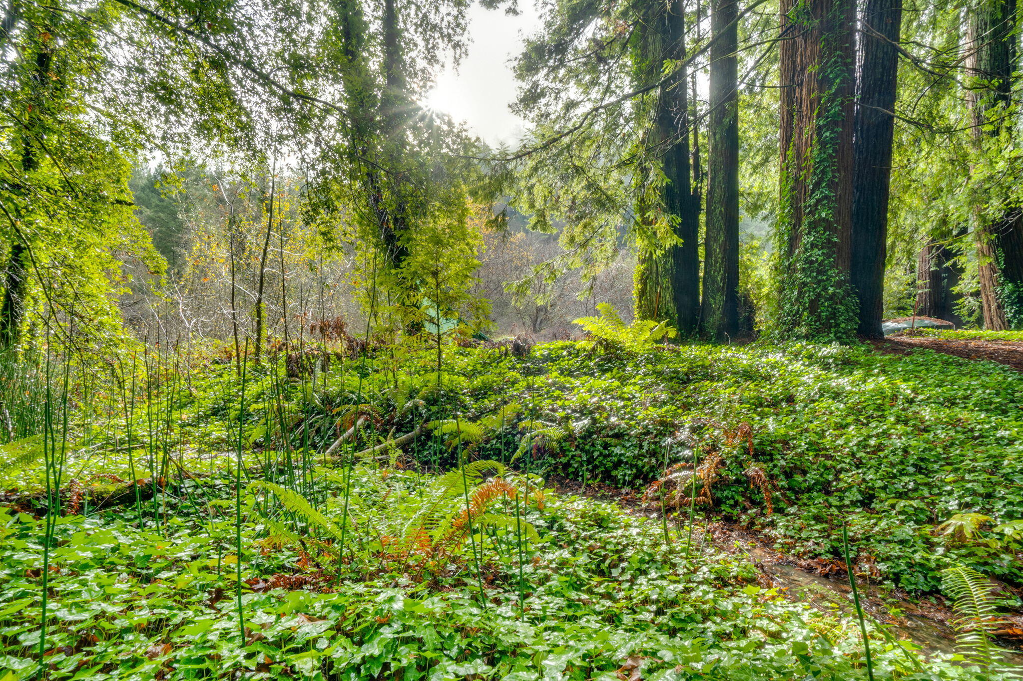 4552 Salmon Creek Road