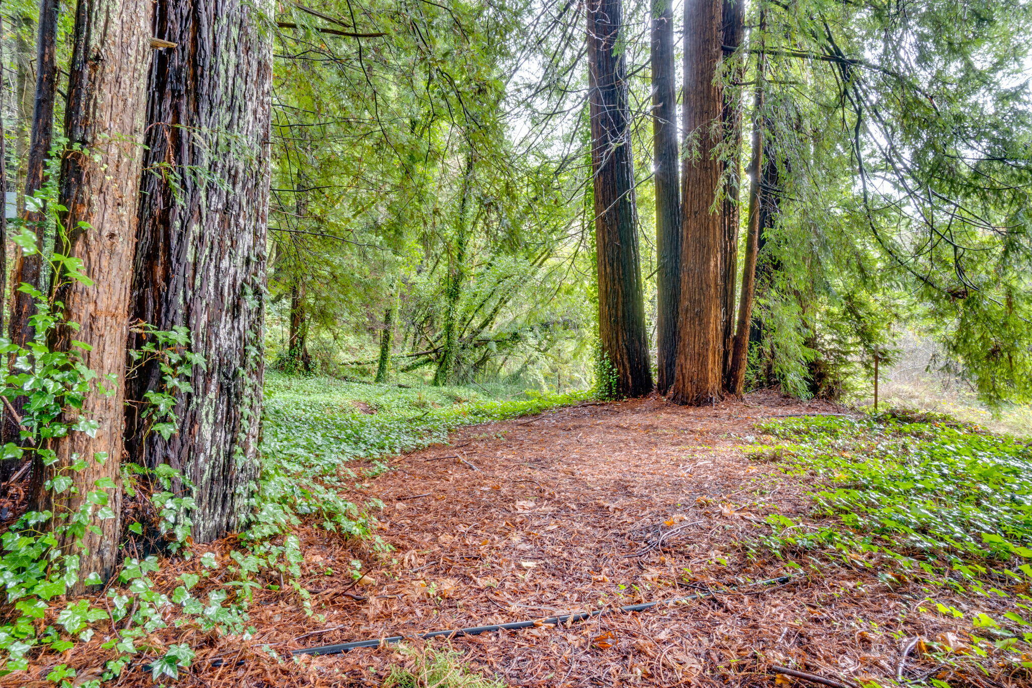 4552 Salmon Creek Road