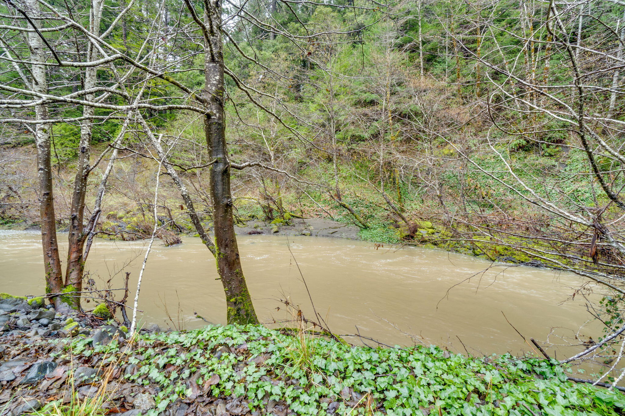 4552 Salmon Creek Road