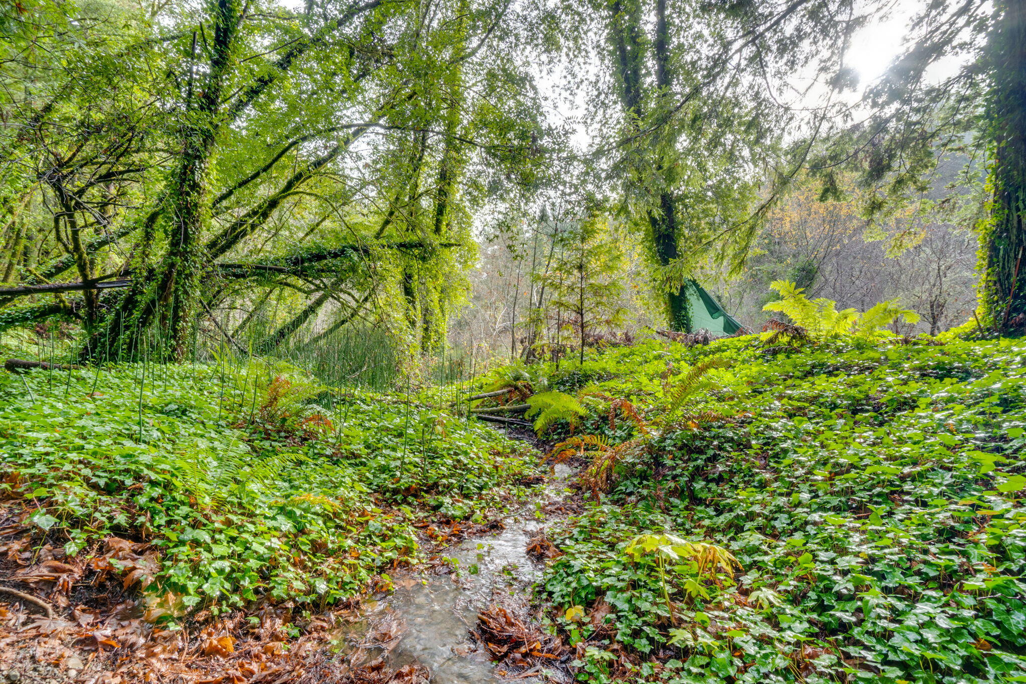 4552 Salmon Creek Road