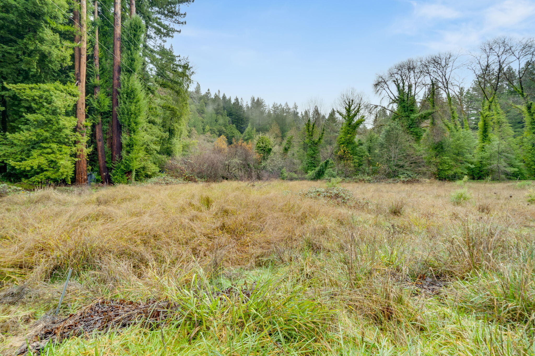 4552 Salmon Creek Road