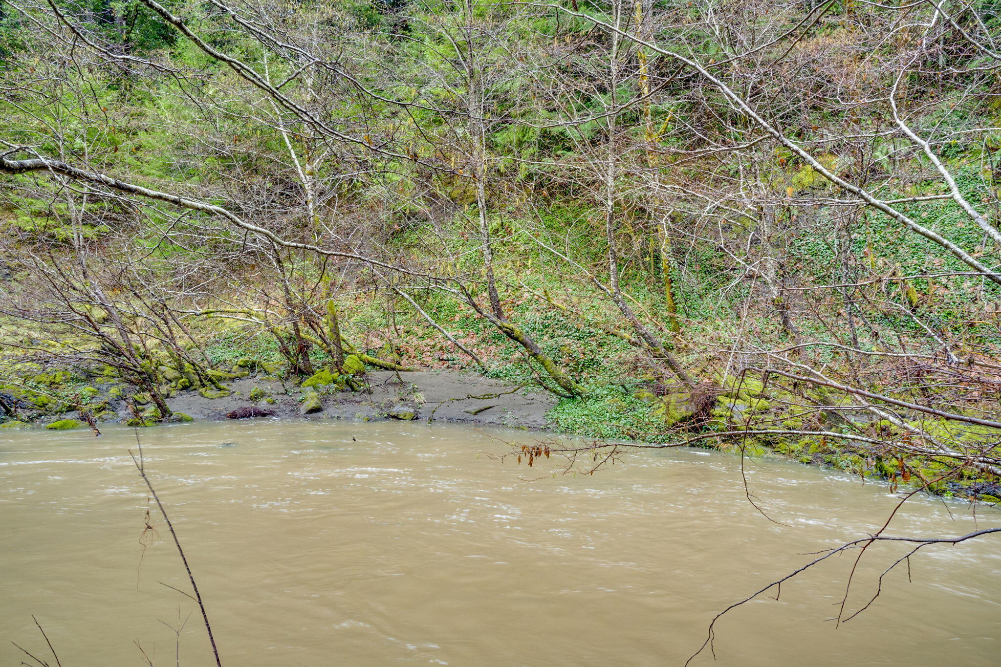 4552 Salmon Creek Road