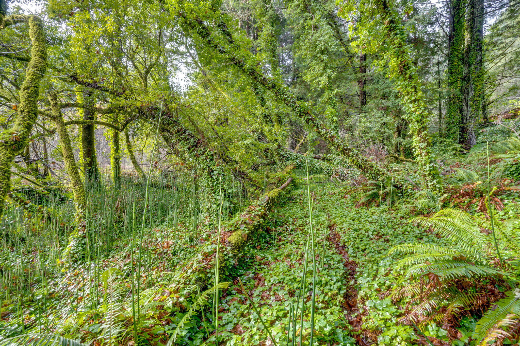 4552 Salmon Creek Road