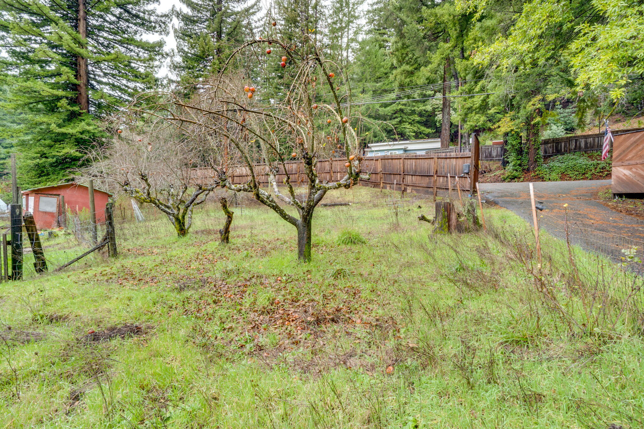 4552 Salmon Creek Road