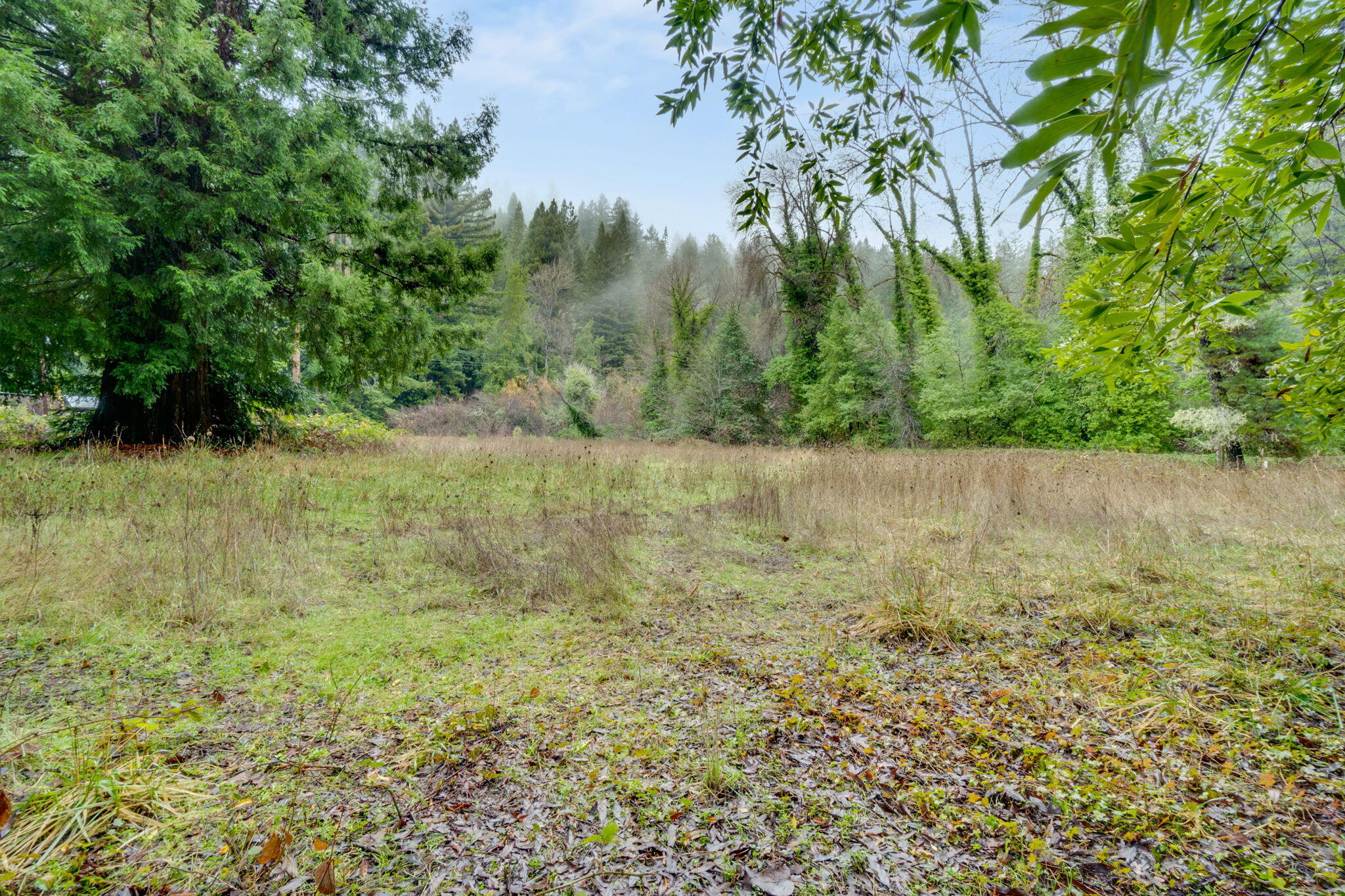 4552 Salmon Creek Road