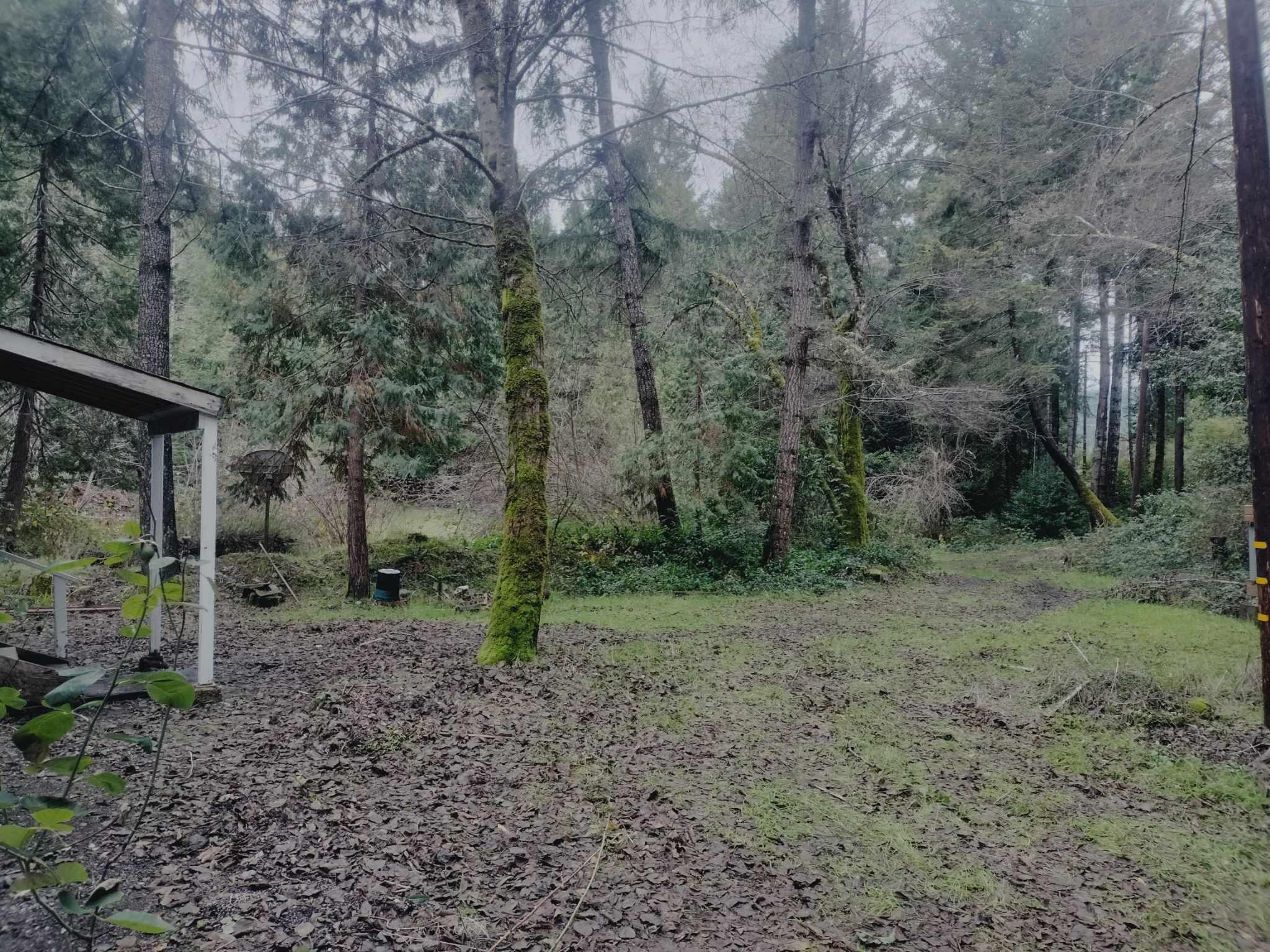 926 Mitchell Road