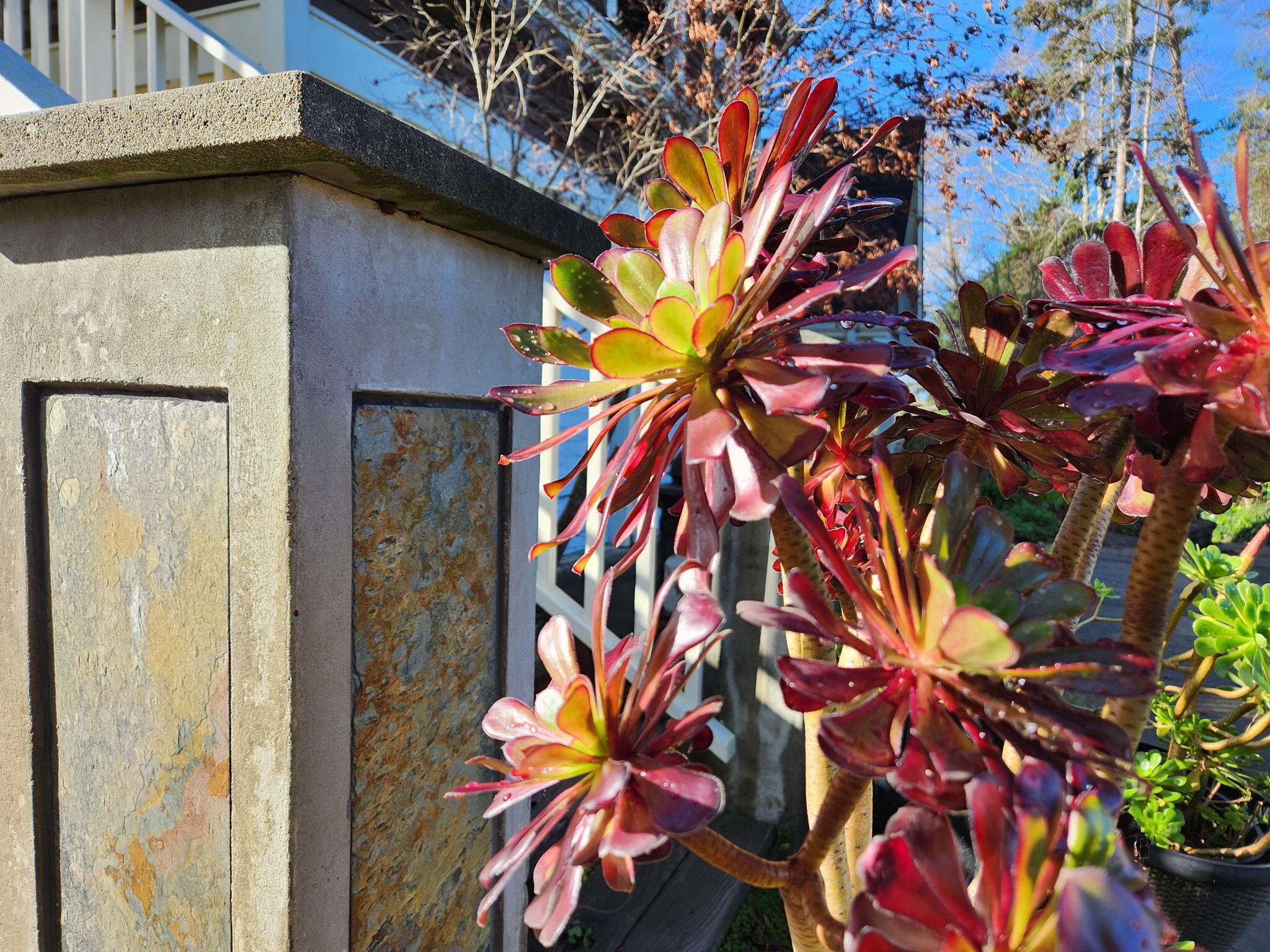 1789 Lazzar Lane, McKinleyville