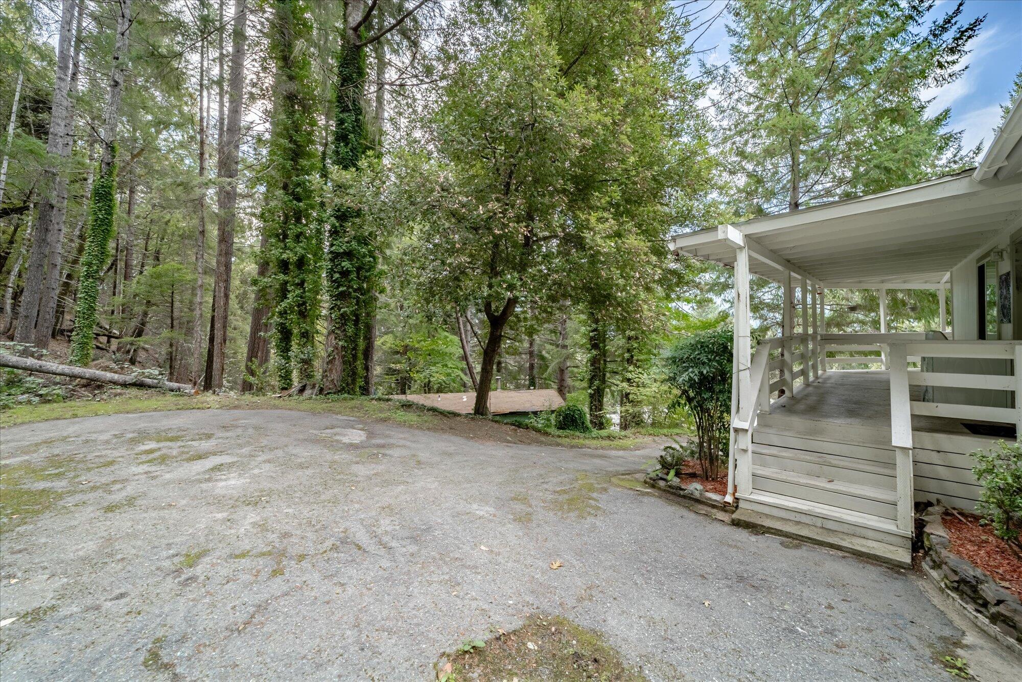 903 Forest View Street