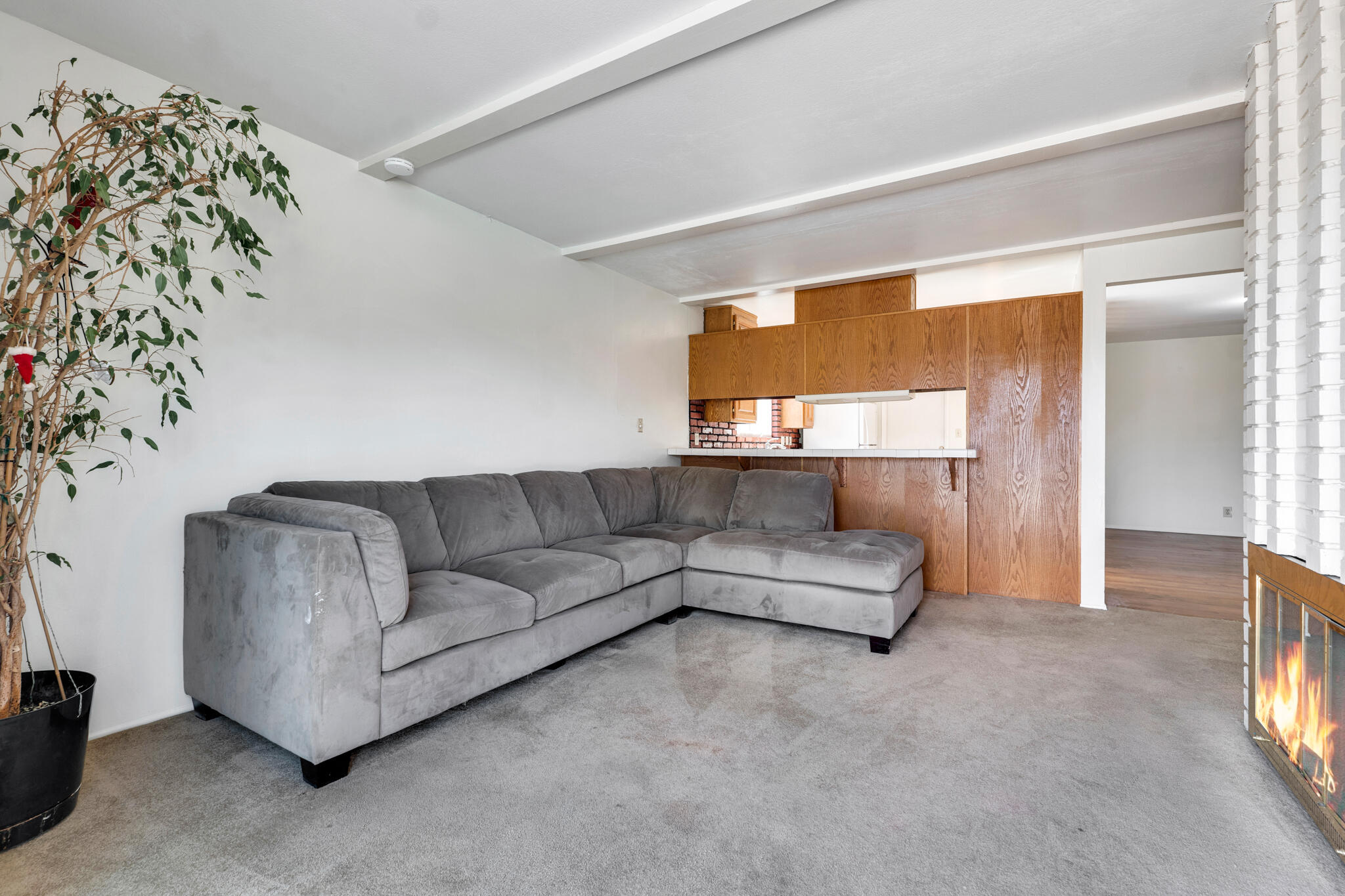 2428 Punta Del Este Drive