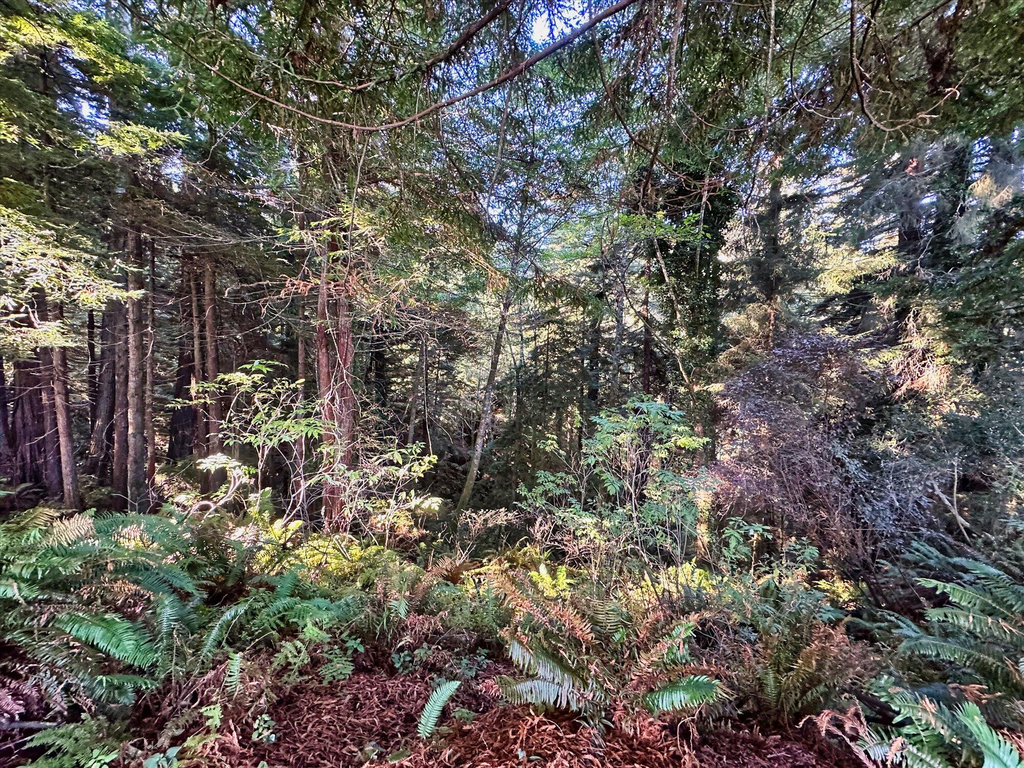 100 Osprey Lane