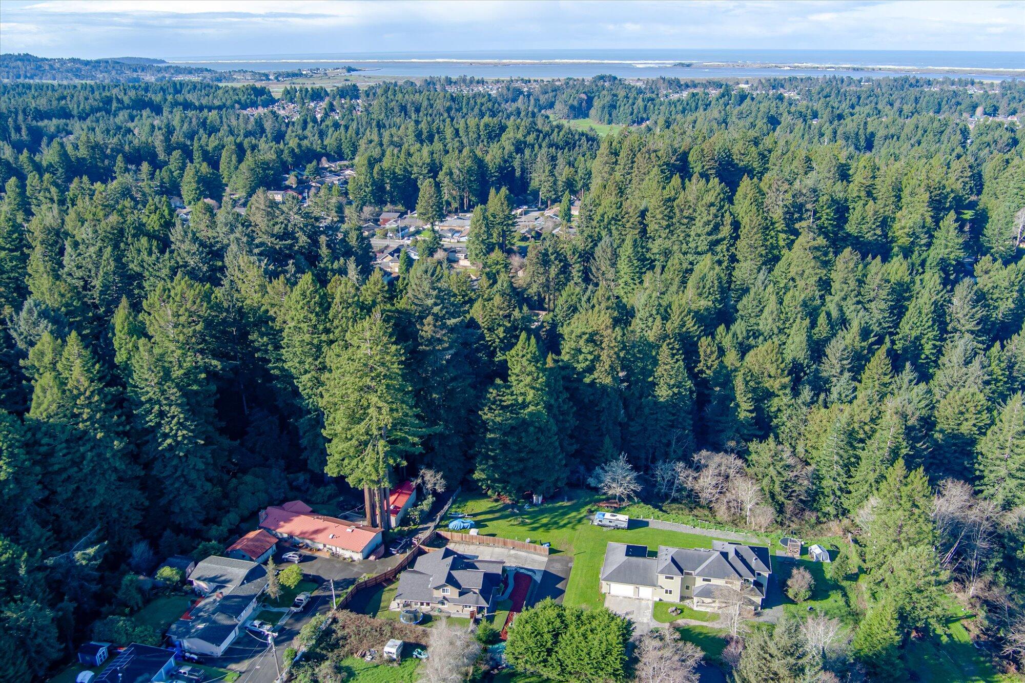 100 Osprey Lane