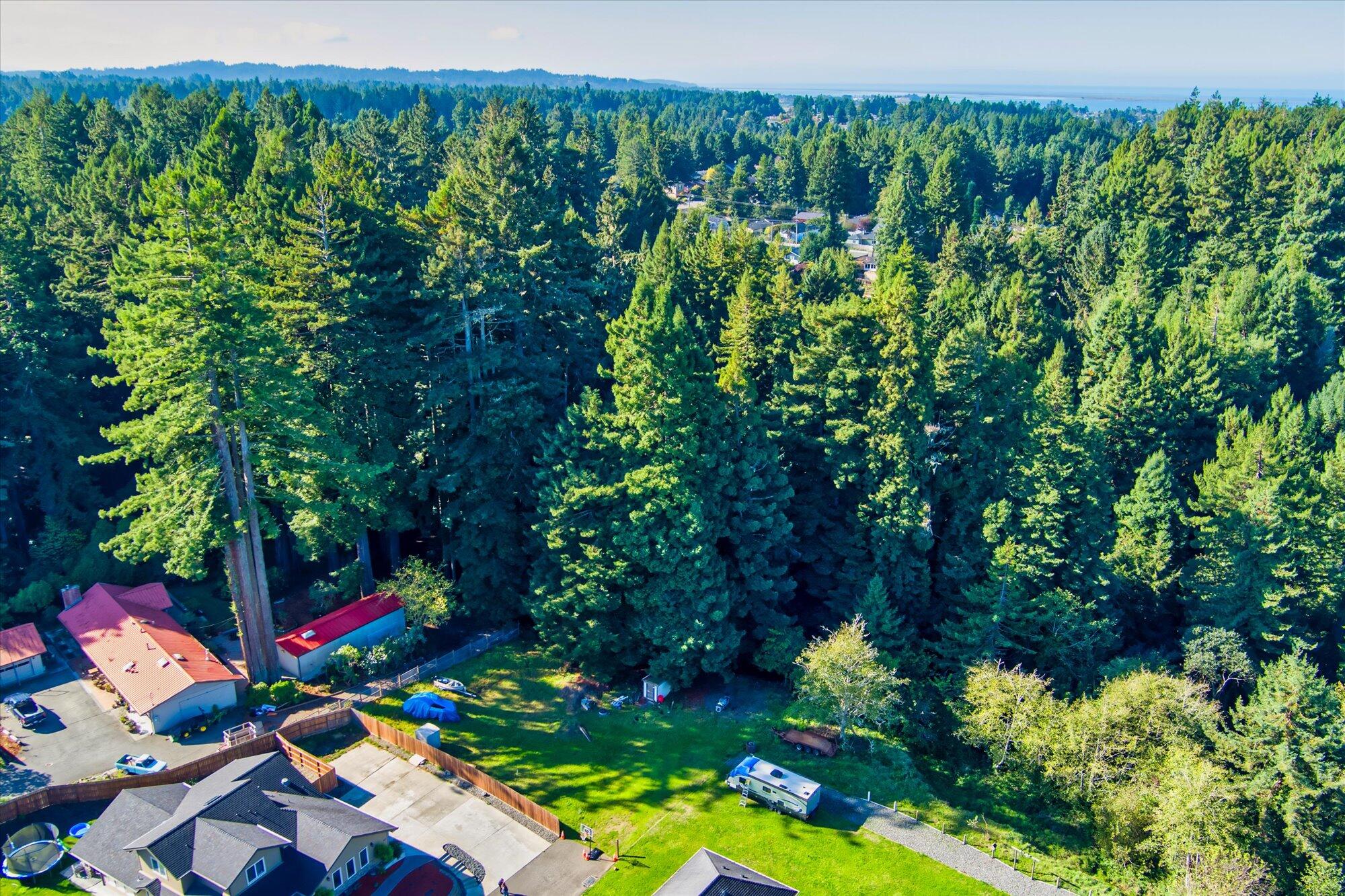 100 Osprey Lane