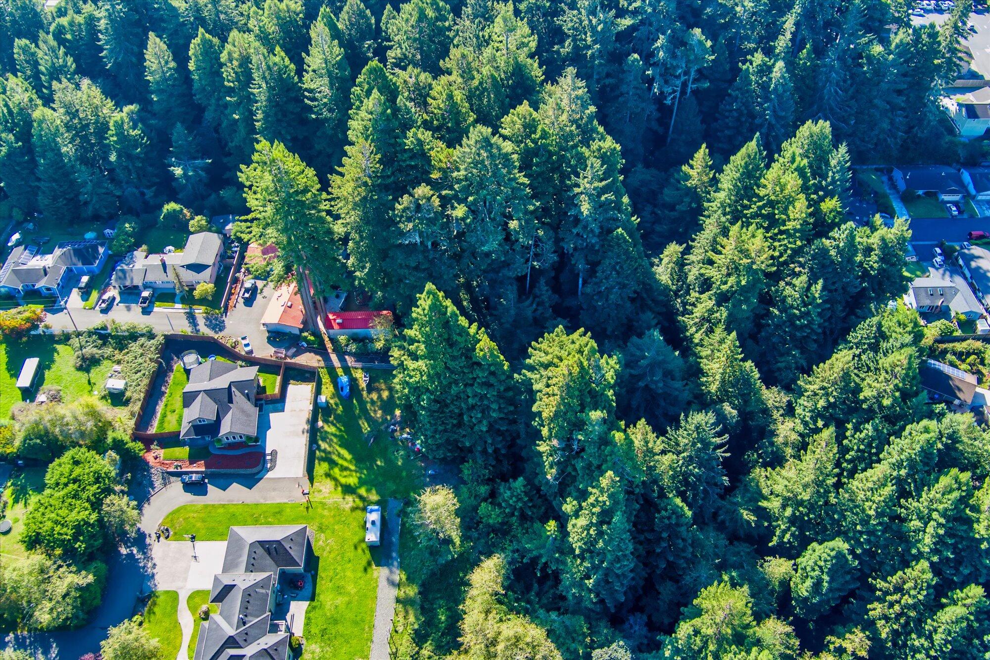 100 Osprey Lane