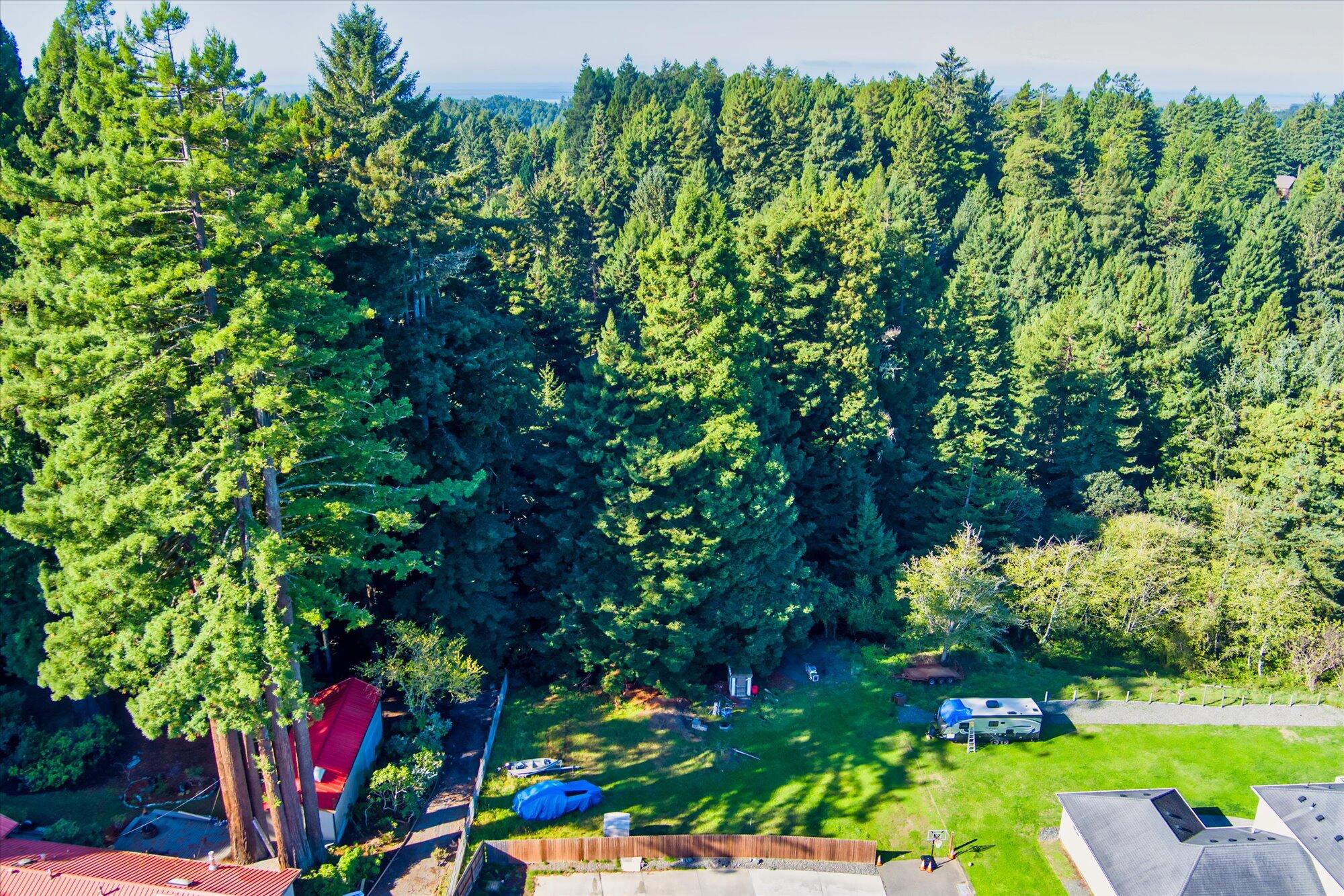 100 Osprey Lane