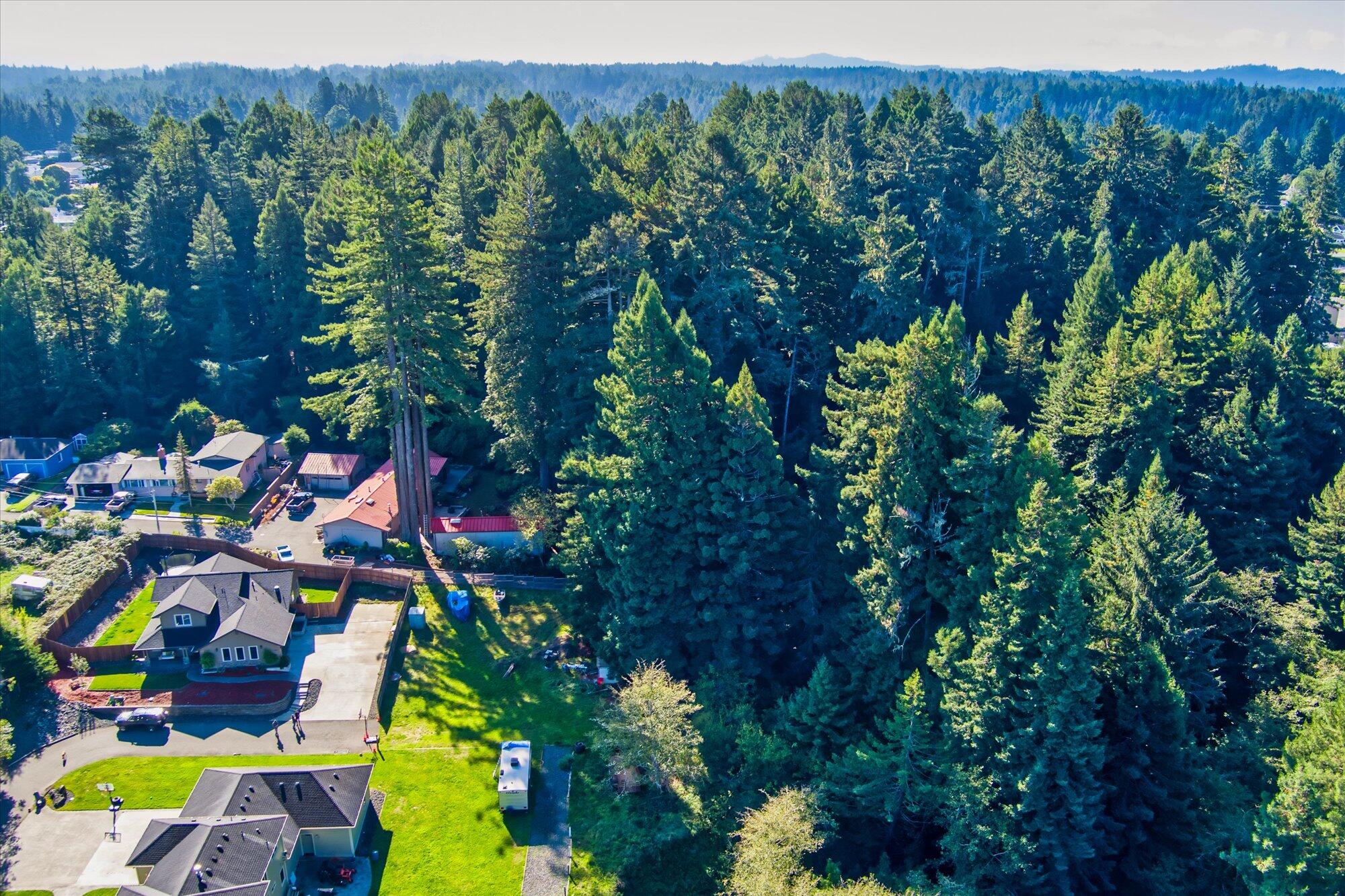 100 Osprey Lane