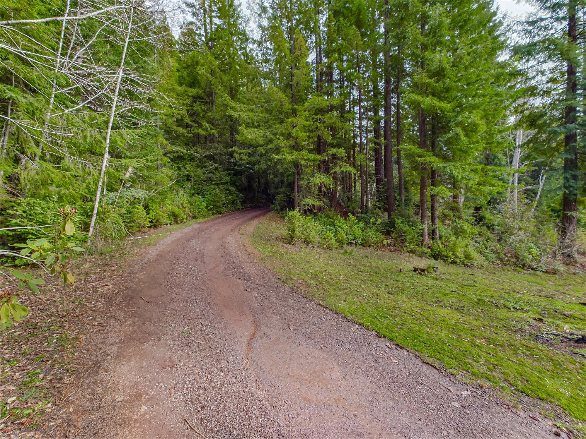 871 Burnt Stump Lane