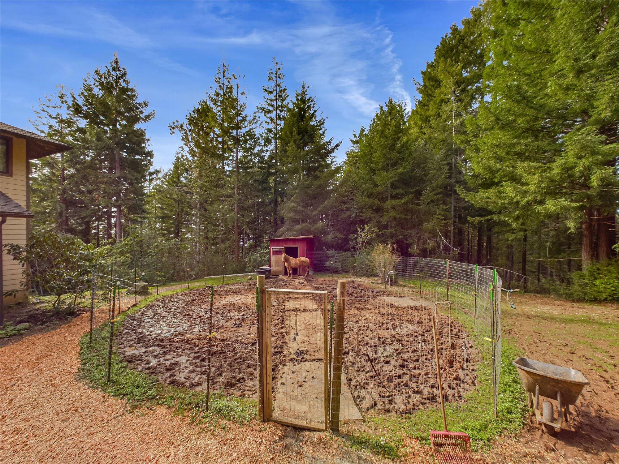 871 Burnt Stump Lane