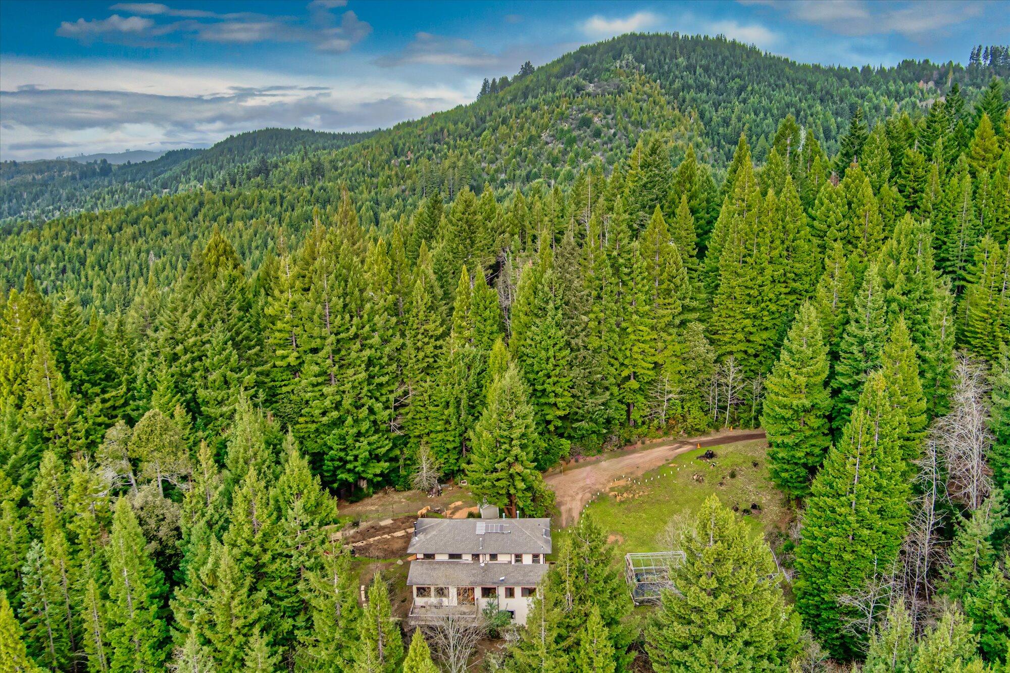 871 Burnt Stump Lane