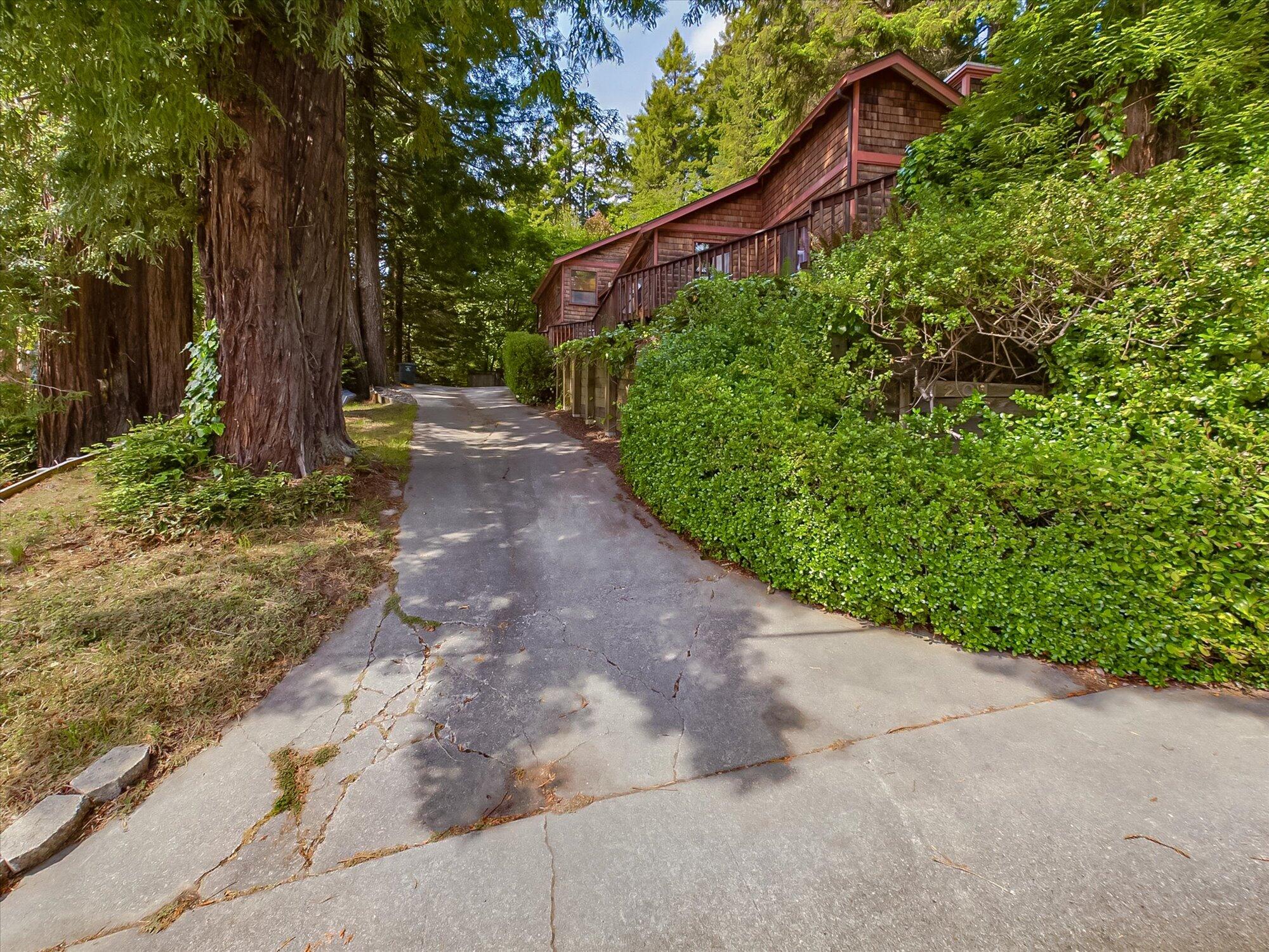 1201 Fern Drive