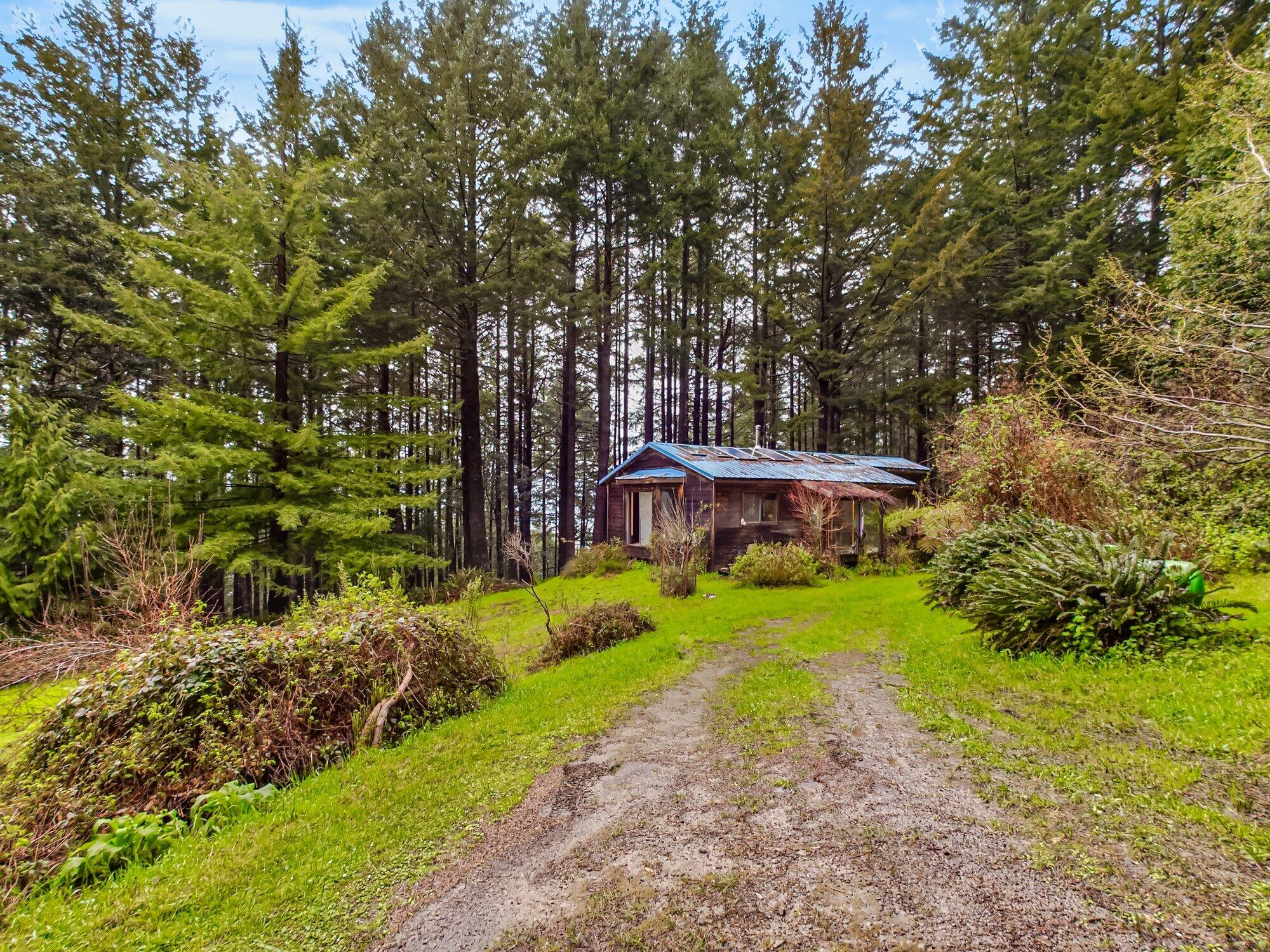 1503 Lighthouse Road