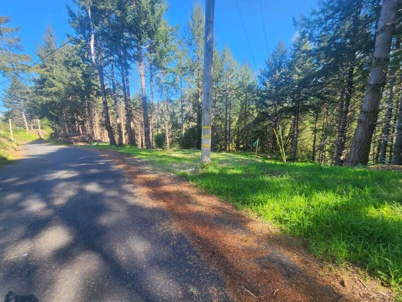 181 Ridge Road