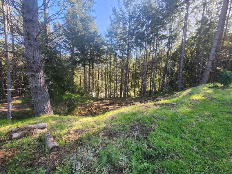 181 Ridge Road