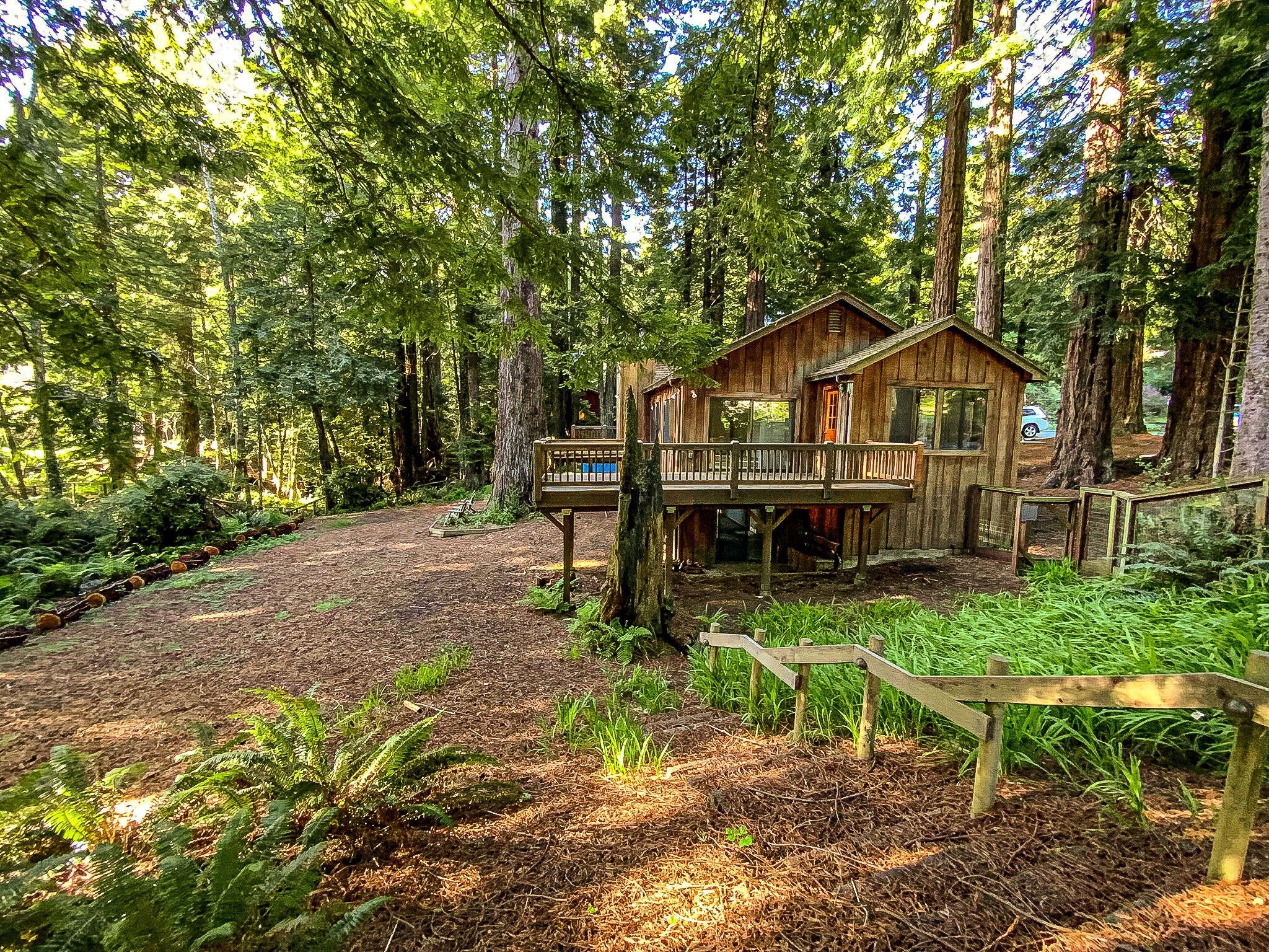 2555 Mcdowell Court