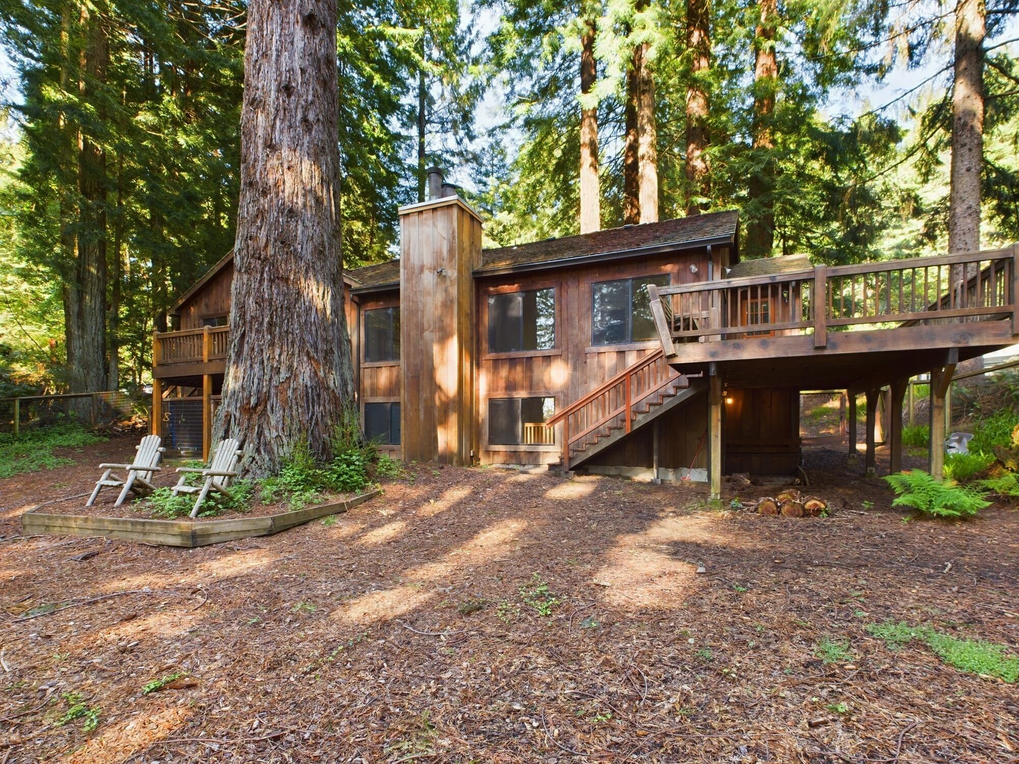 2555 Mcdowell Court