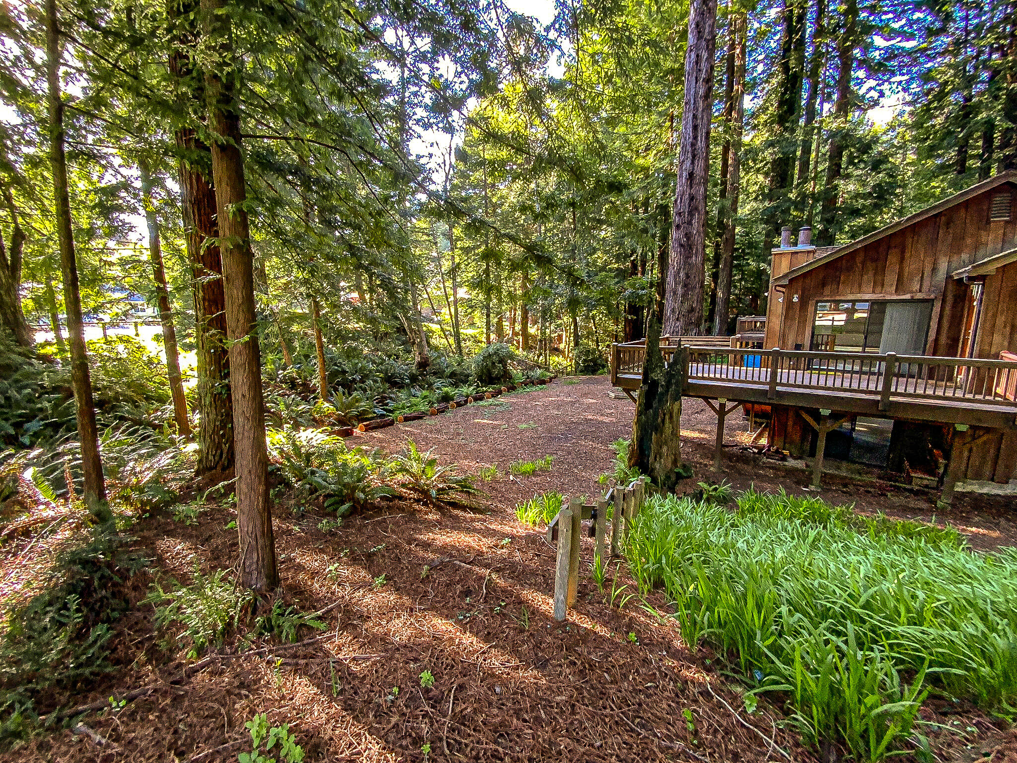 2555 Mcdowell Court