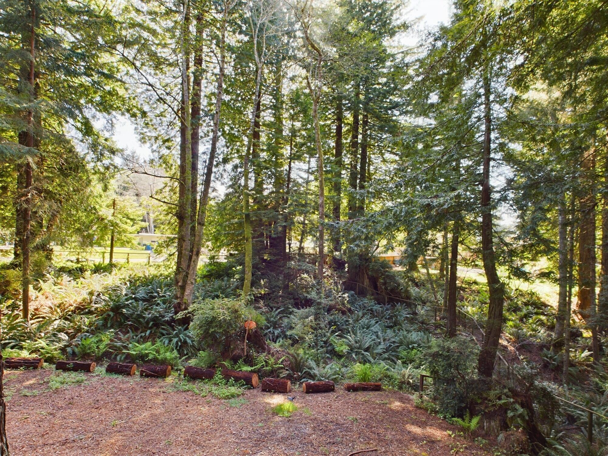 2555 Mcdowell Court