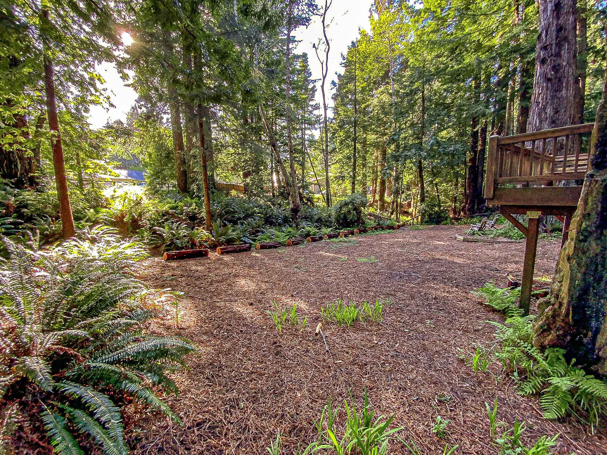 2555 Mcdowell Court