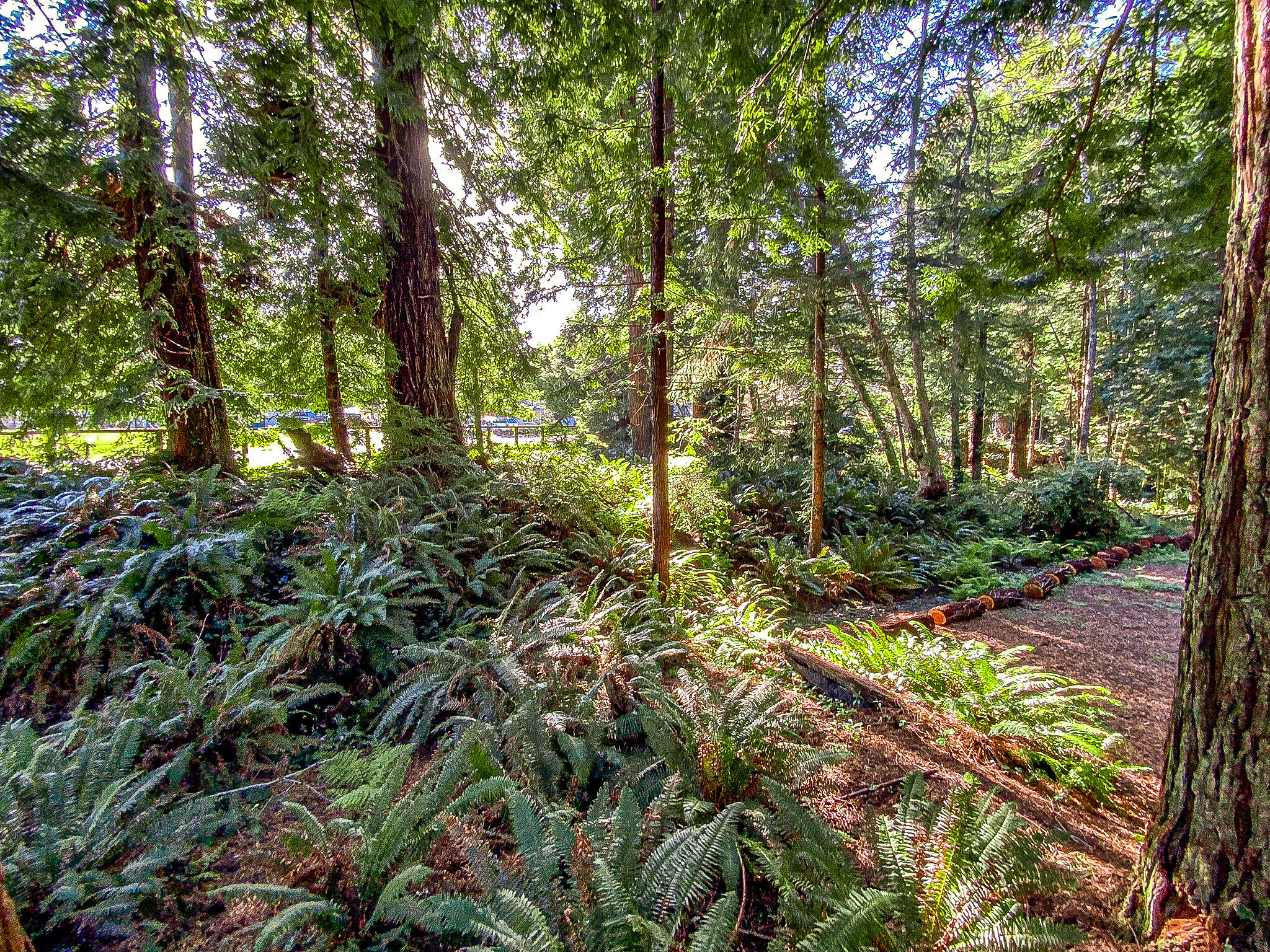 2555 Mcdowell Court
