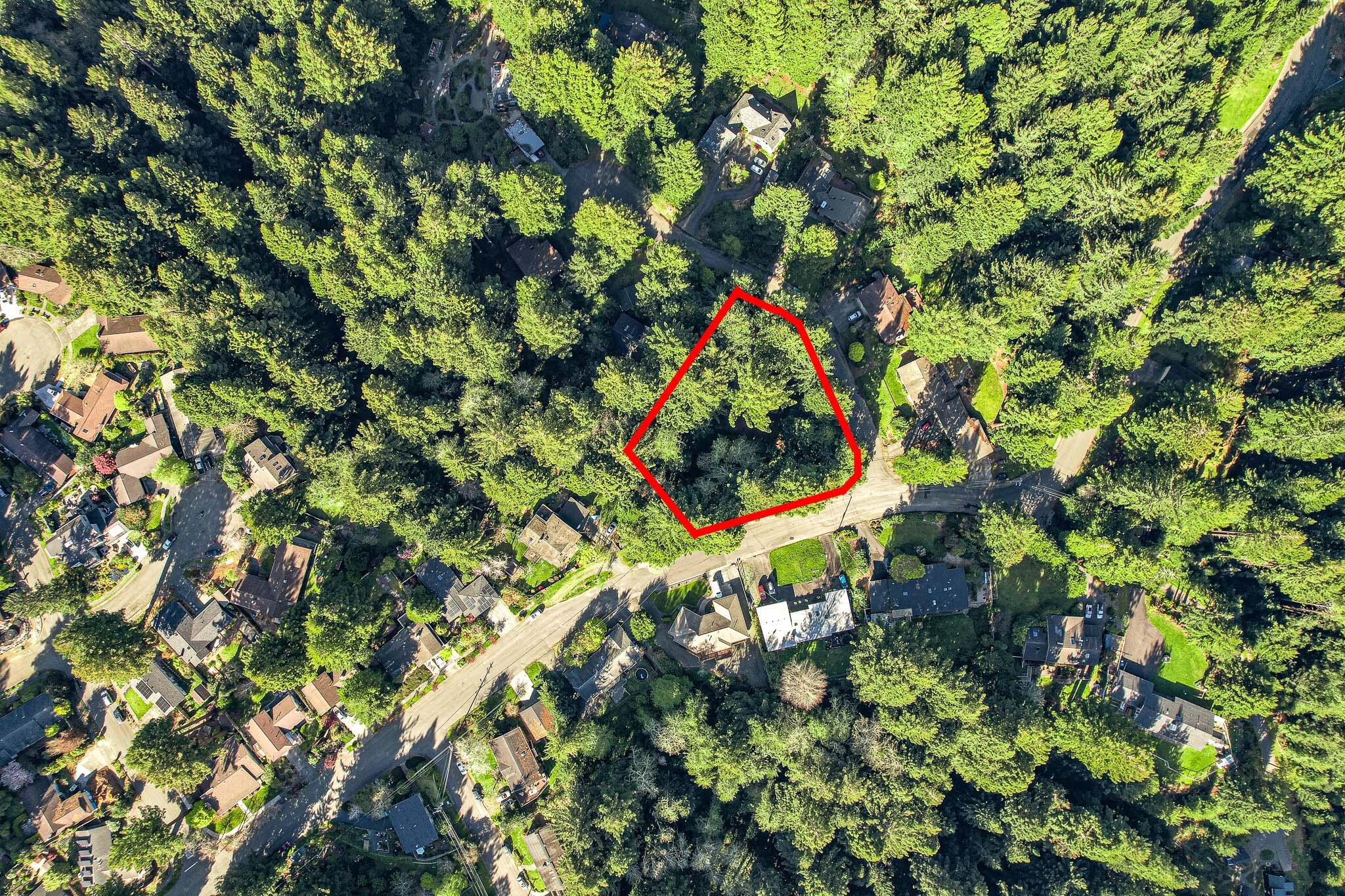 2555 Mcdowell Court