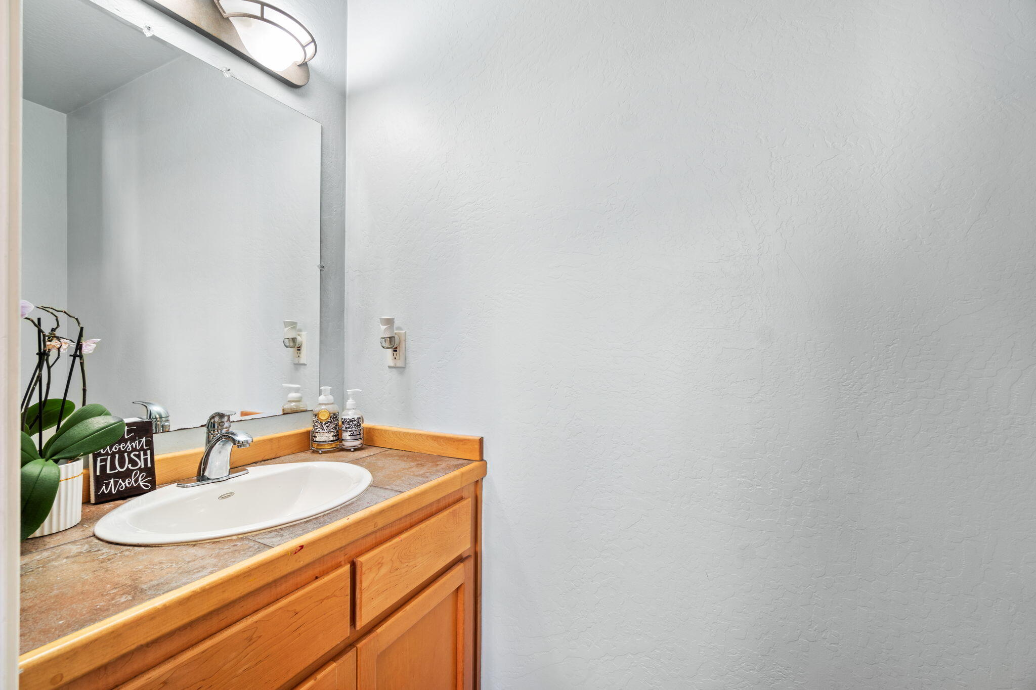 2979 Janes Creek Drive