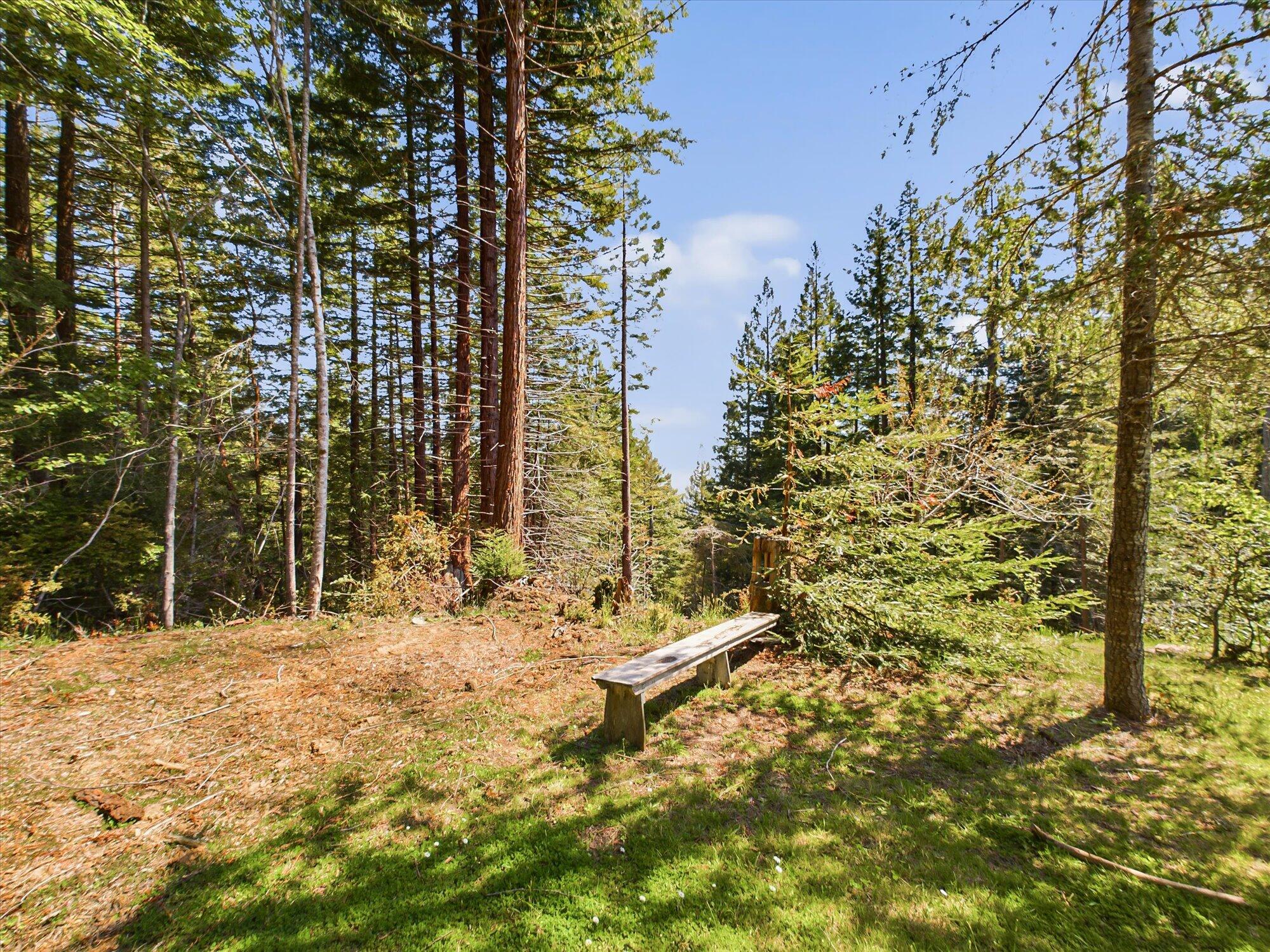 2913 Greenwood Heights Drive
