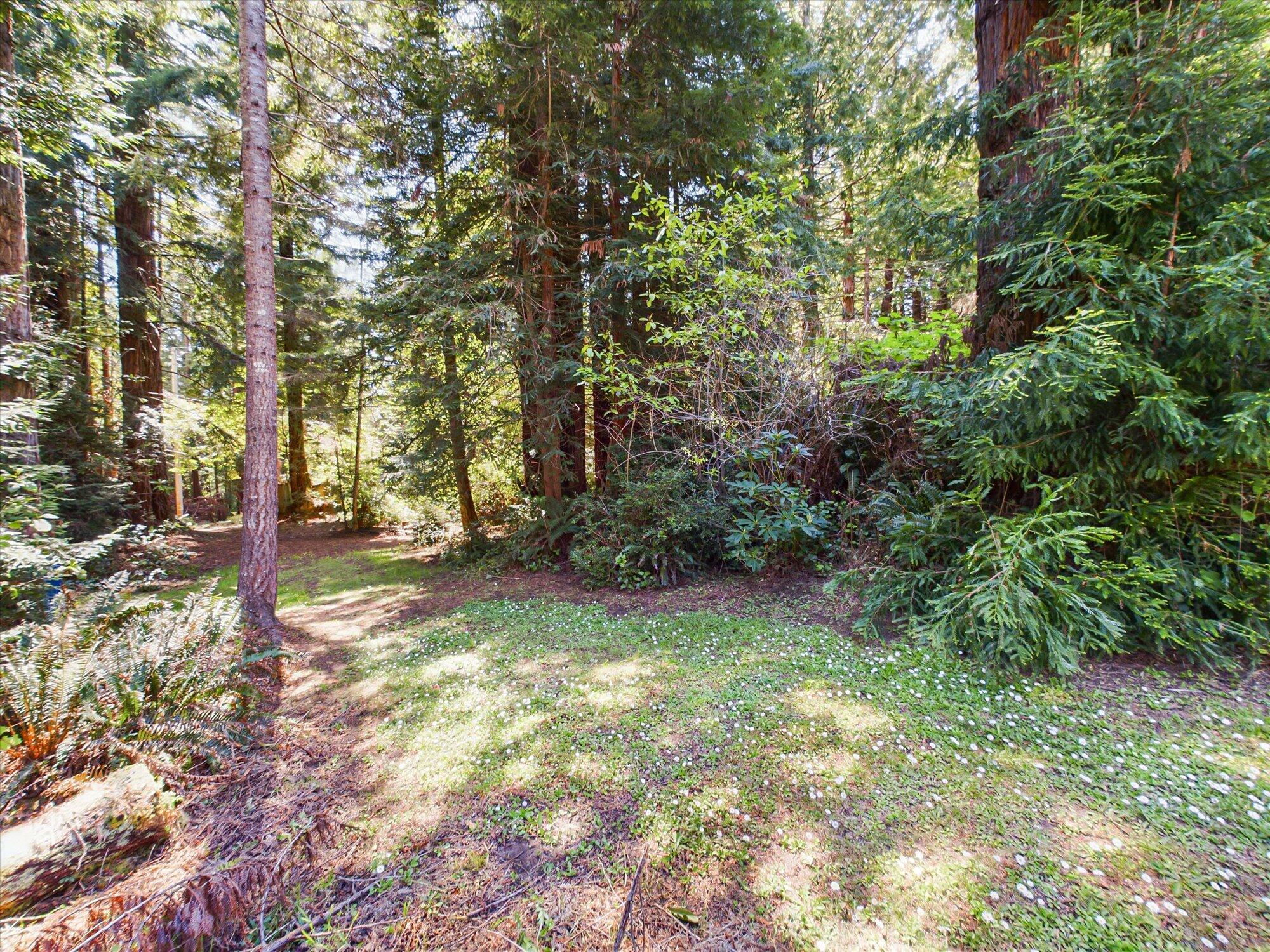 2913 Greenwood Heights Drive