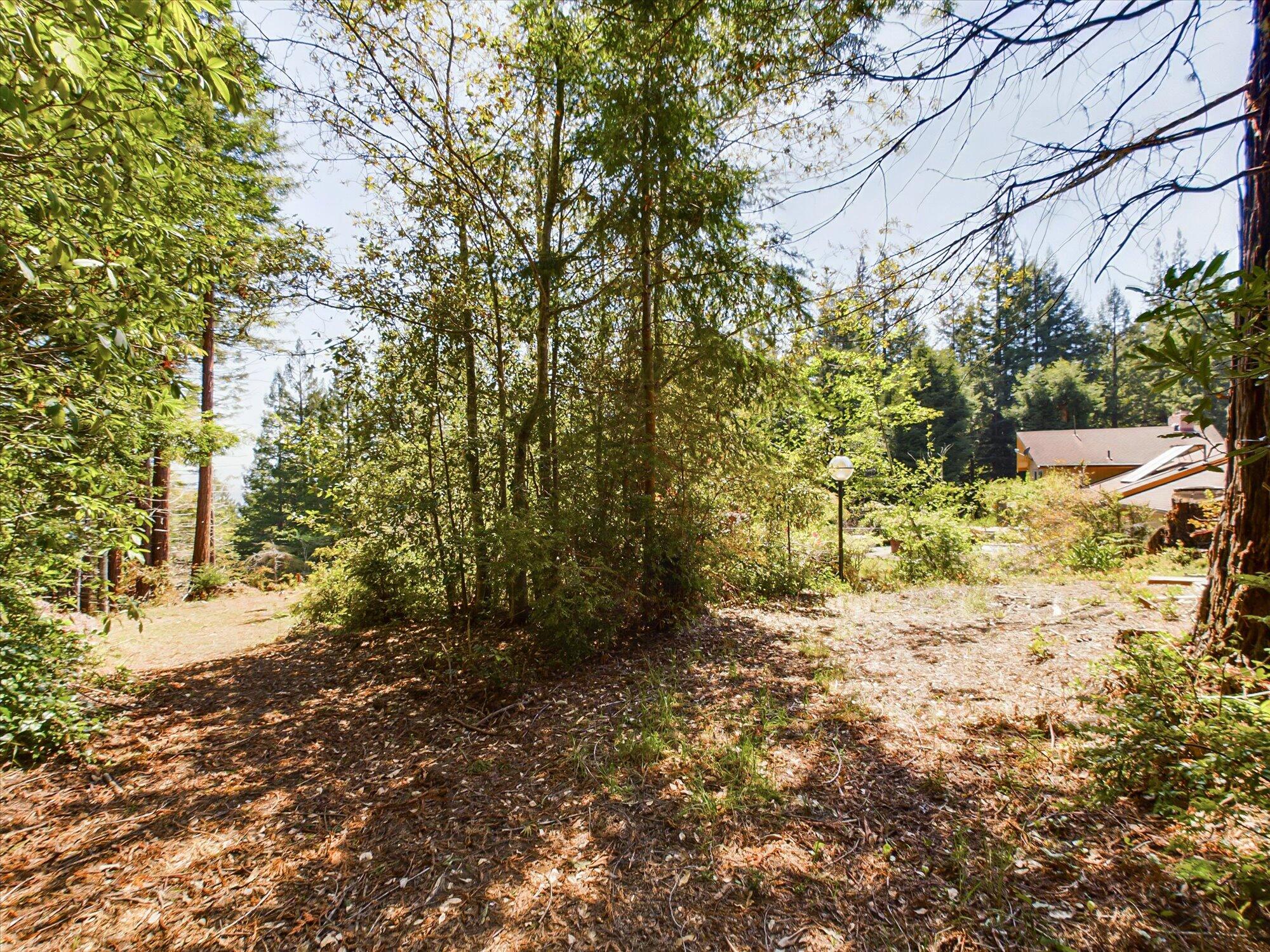 2913 Greenwood Heights Drive