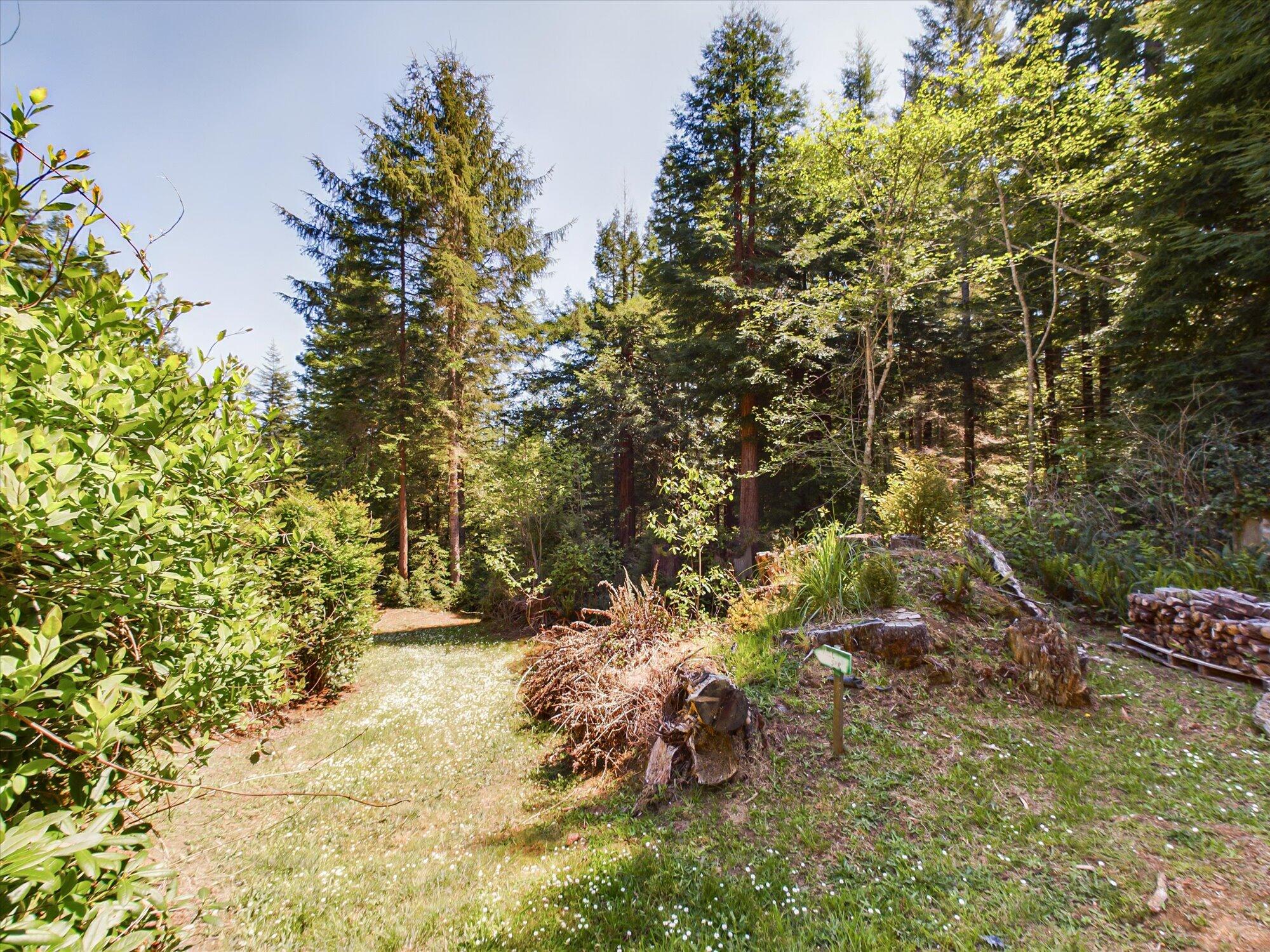 2913 Greenwood Heights Drive