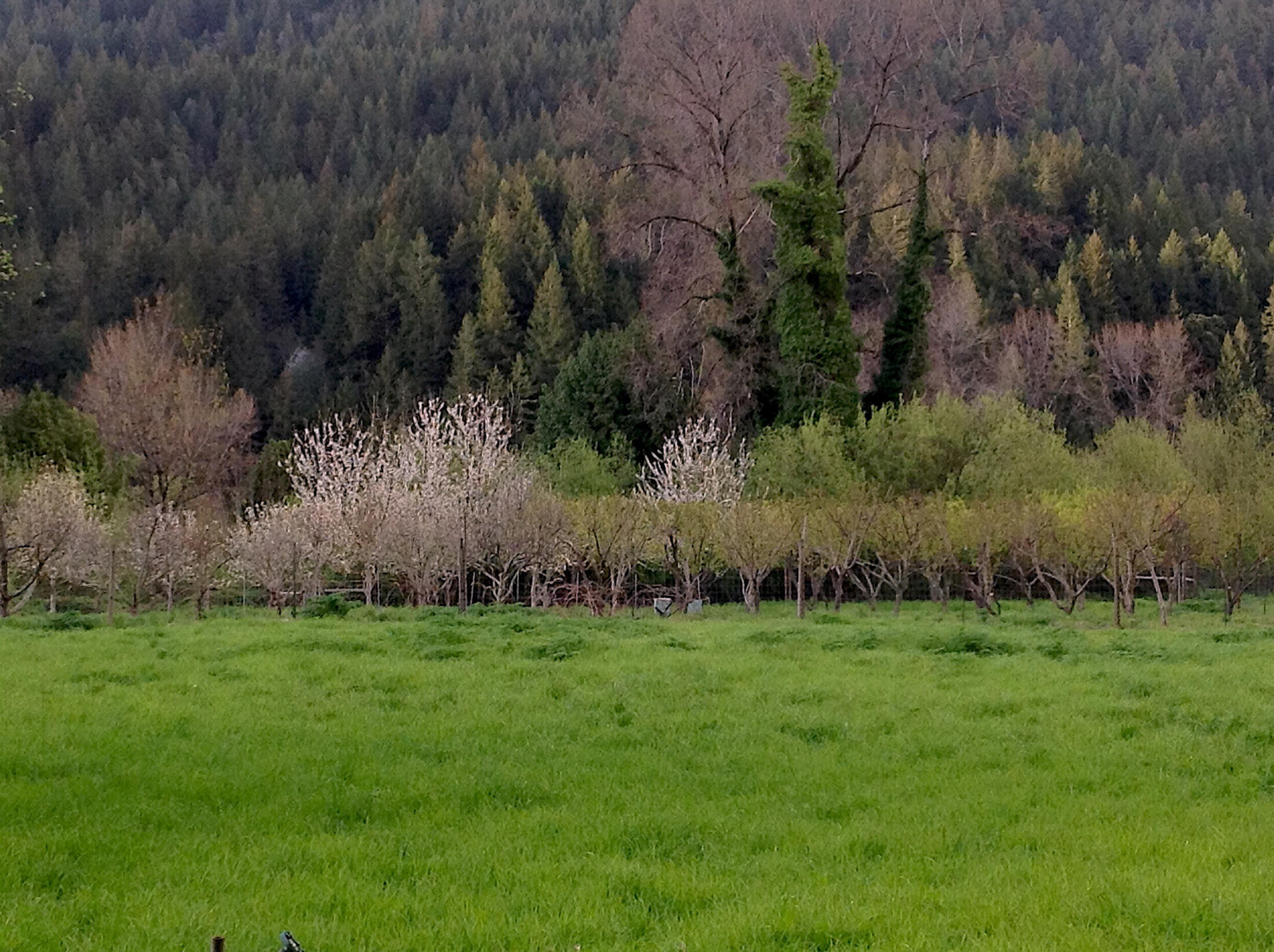 13065 Johnson Road