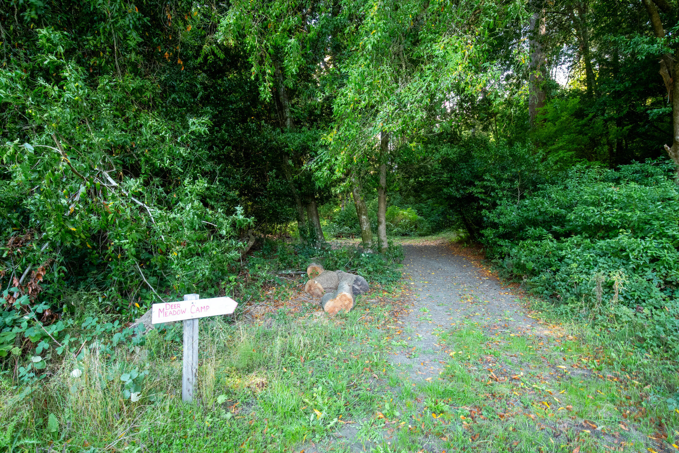 13065 Johnson Road