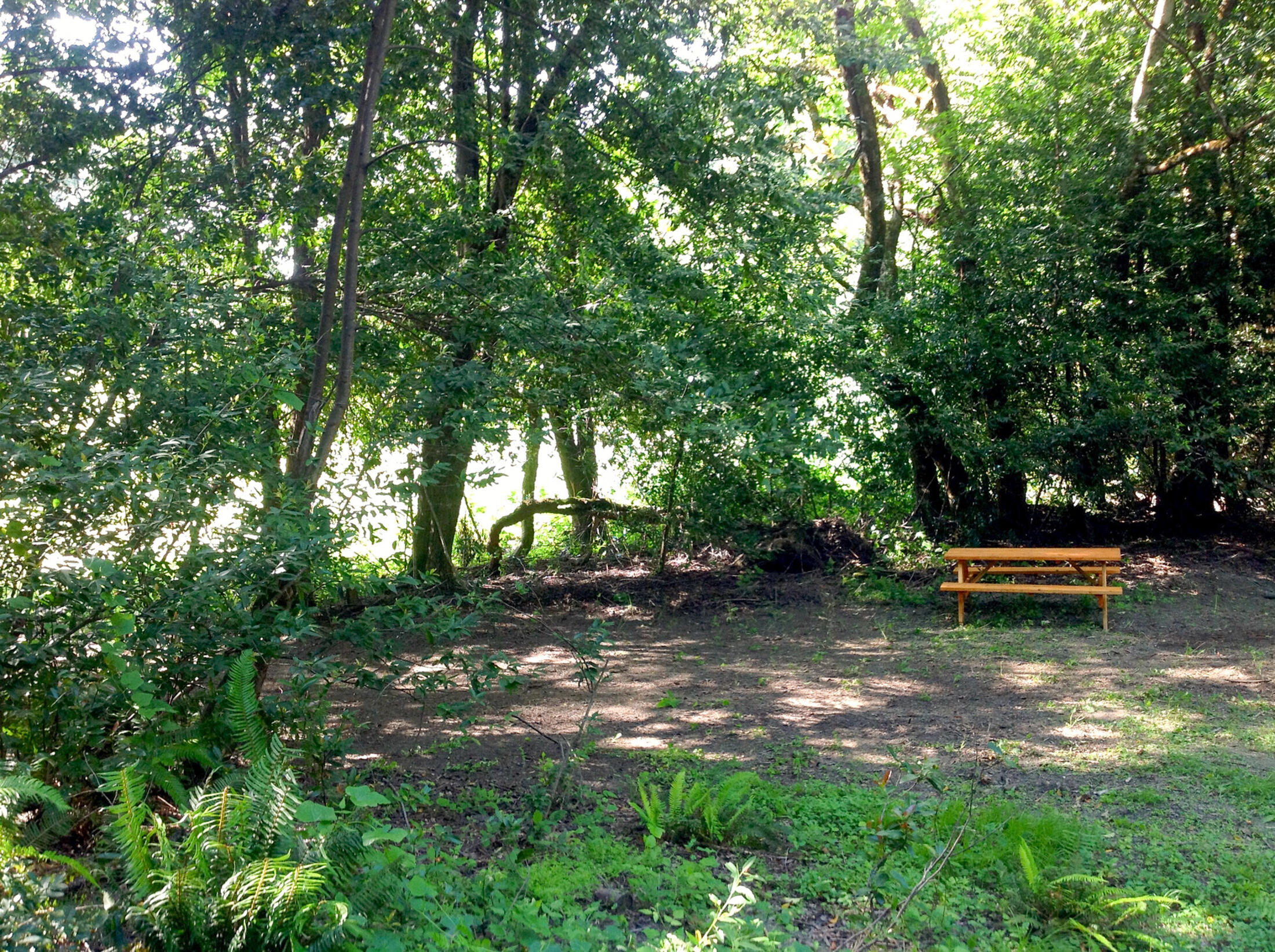13065 Johnson Road