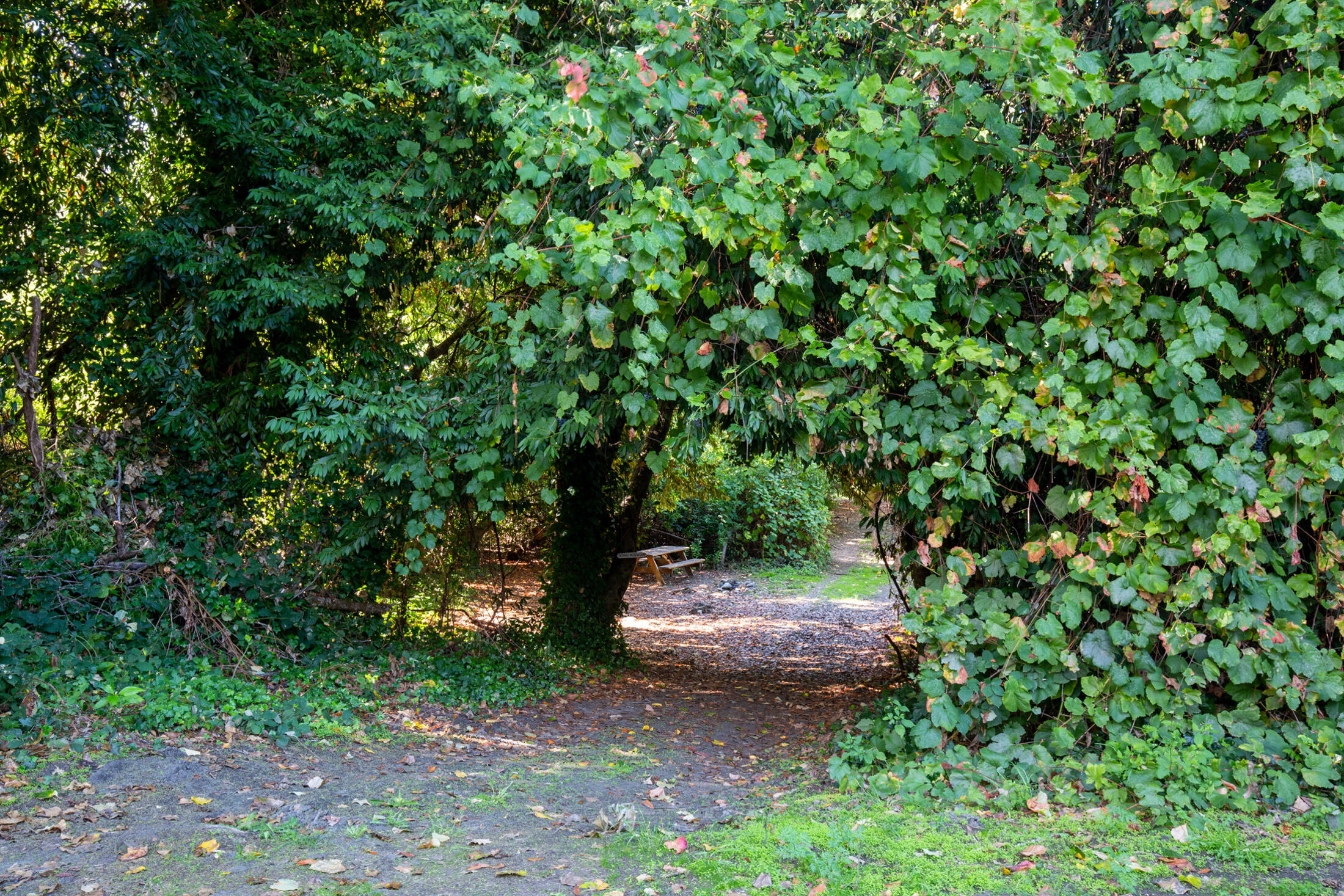 13065 Johnson Road