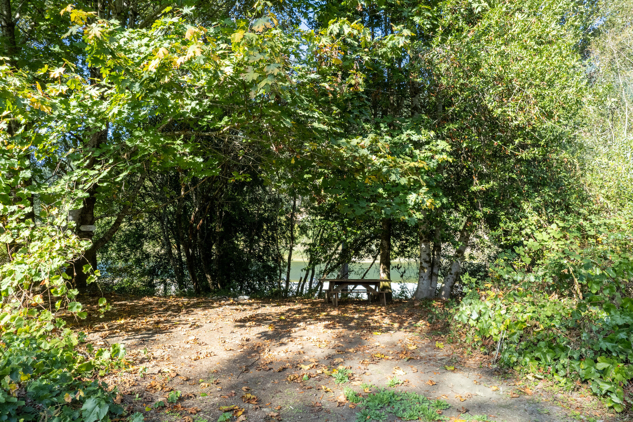 13065 Johnson Road