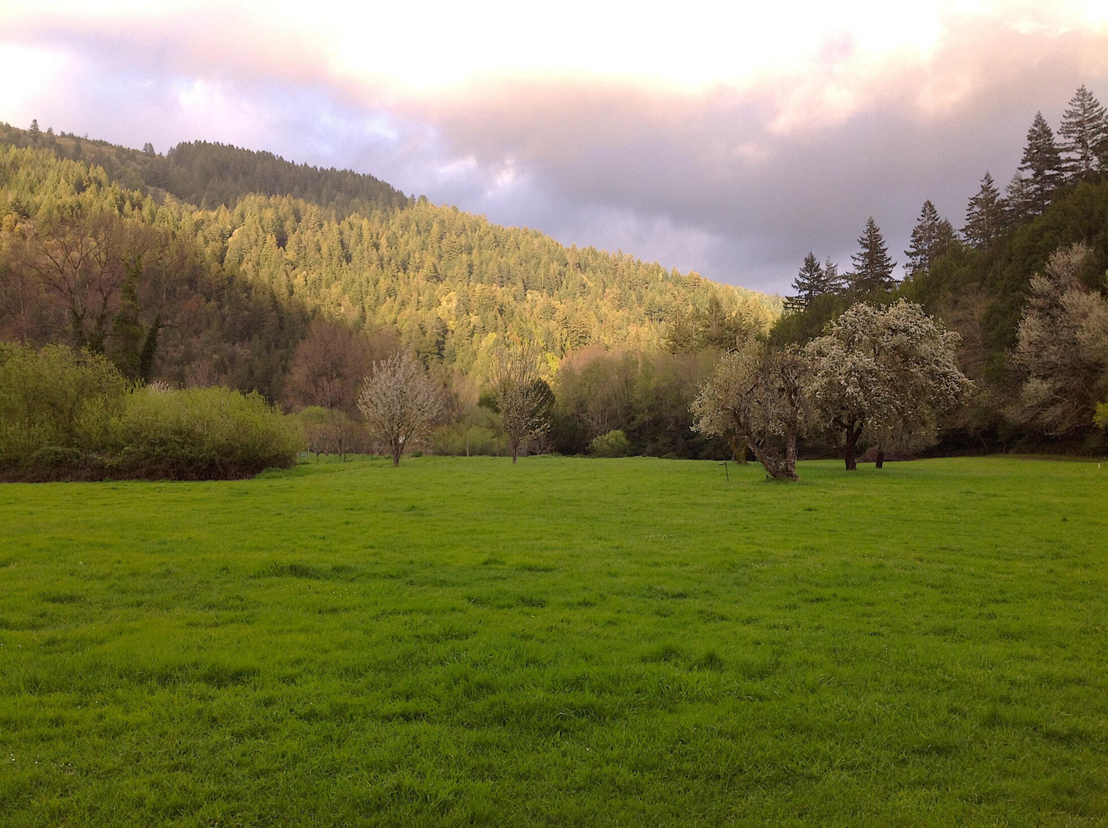 13065 Johnson Road