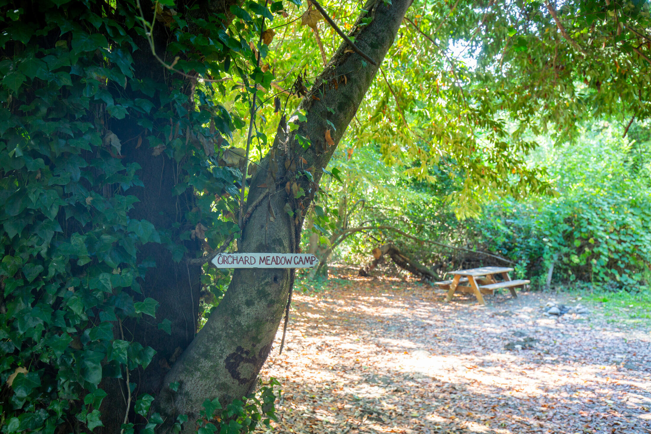 13065 Johnson Road