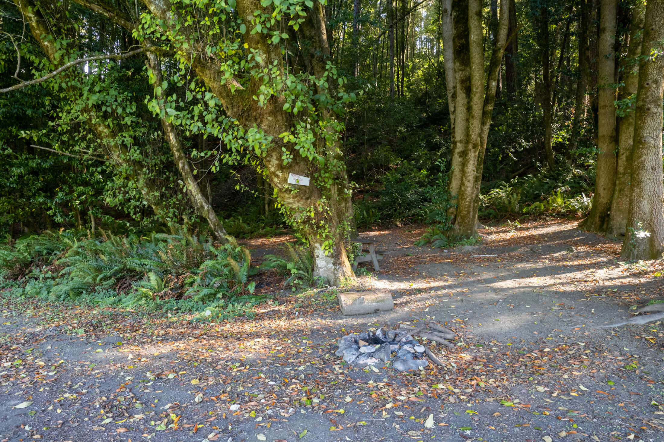 13065 Johnson Road