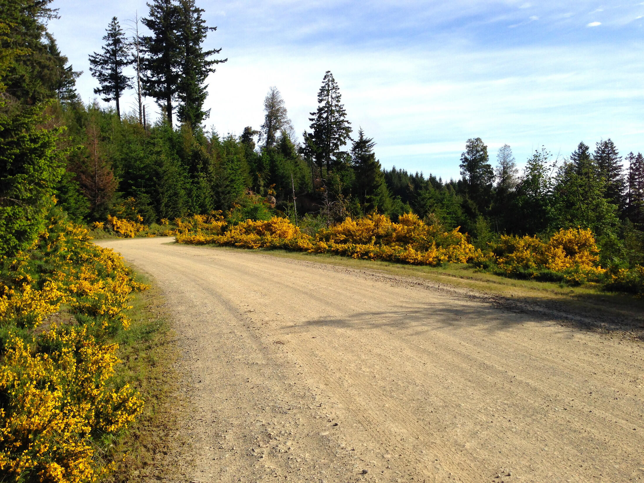 13065 Johnson Road
